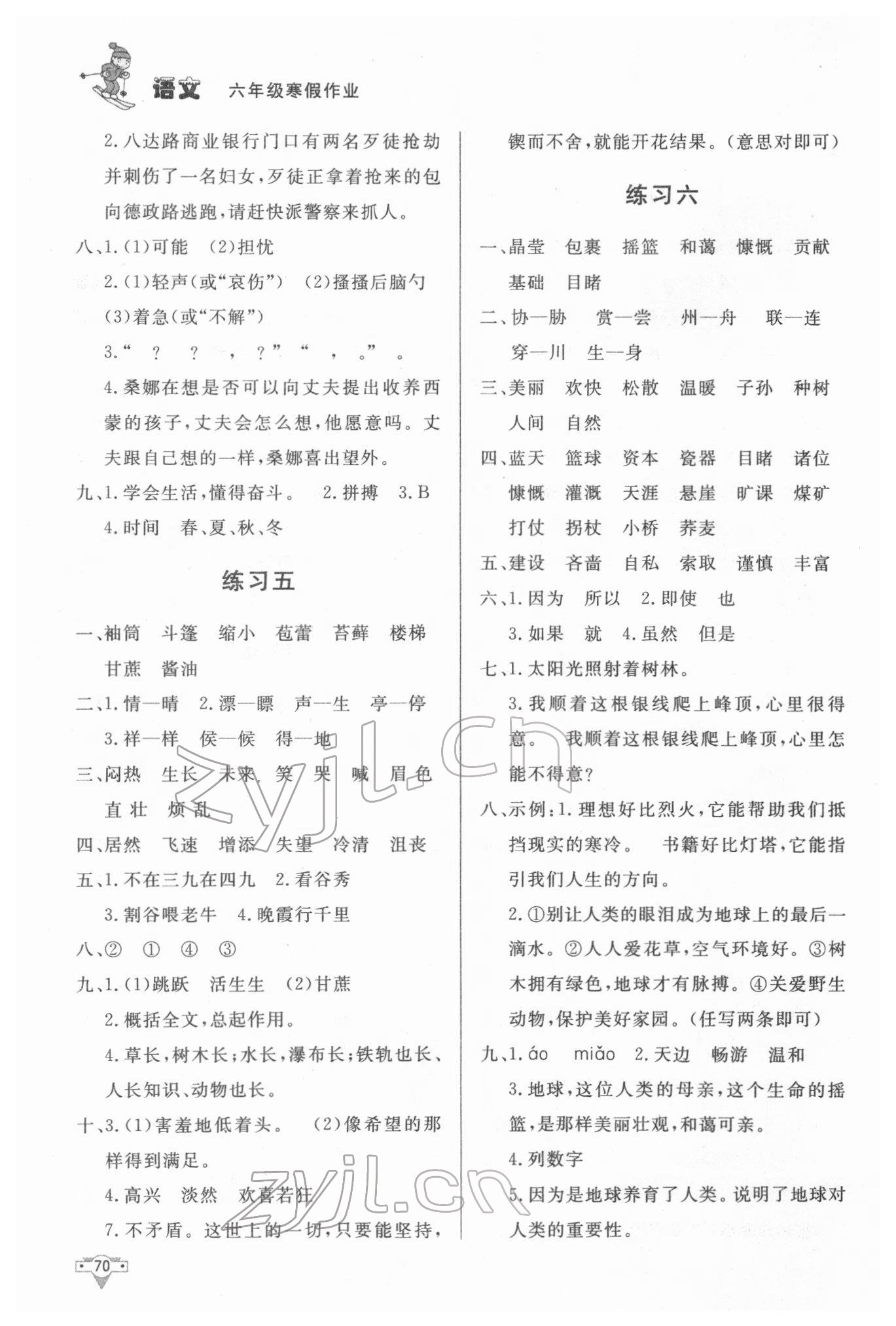 2022年寒假作业北京时代华文书局六年级语文人教版 参考答案第3页