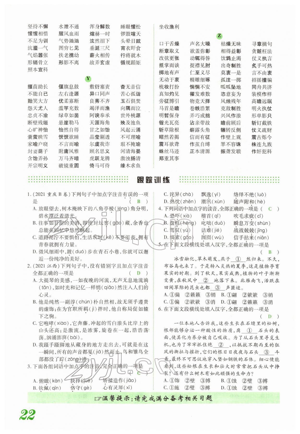 2022年蓝卡中考试题解读语文河南专版 参考答案第46页