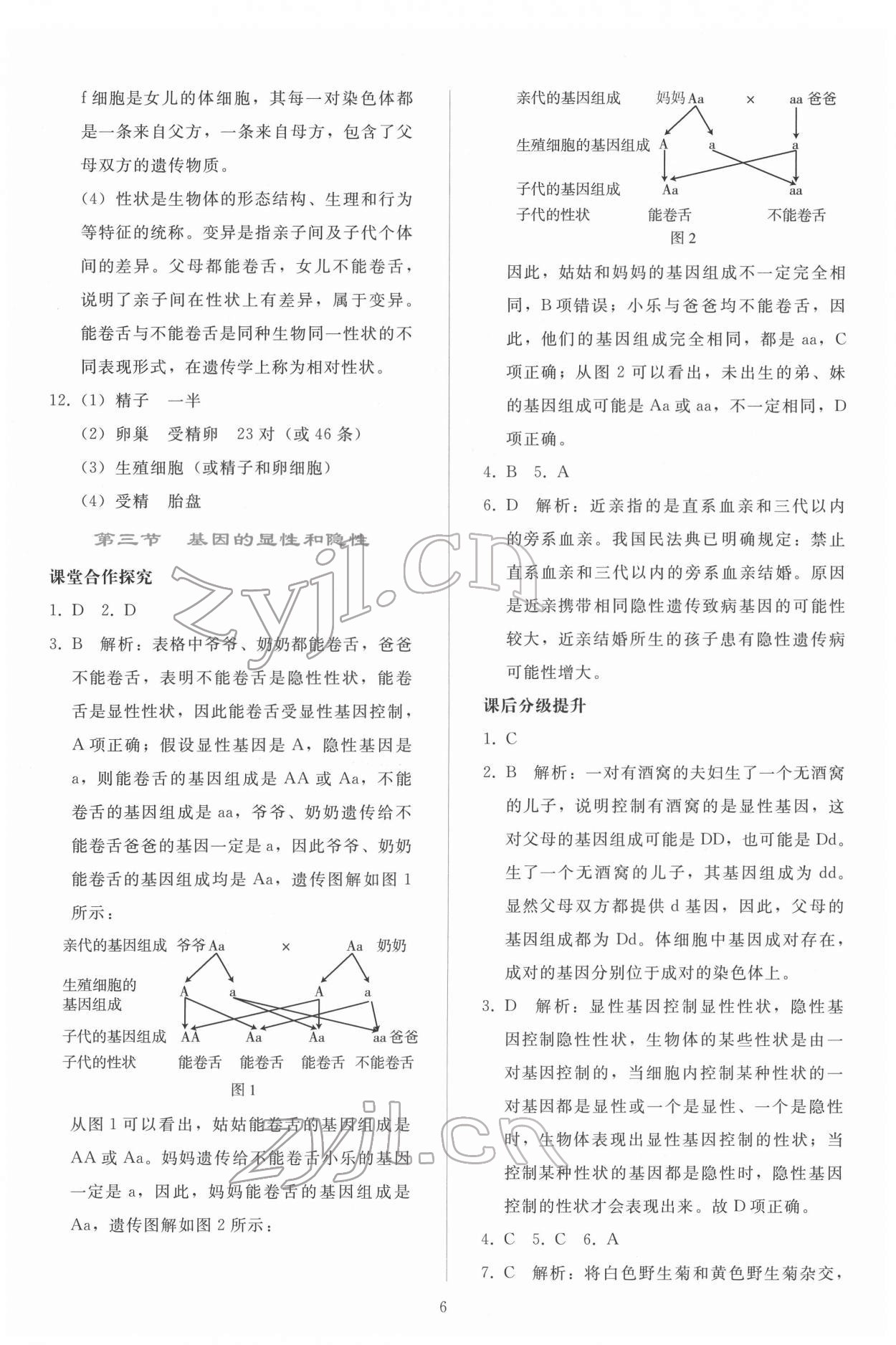 2022年同步轻松练习八年级生物学下册人教版 第5页