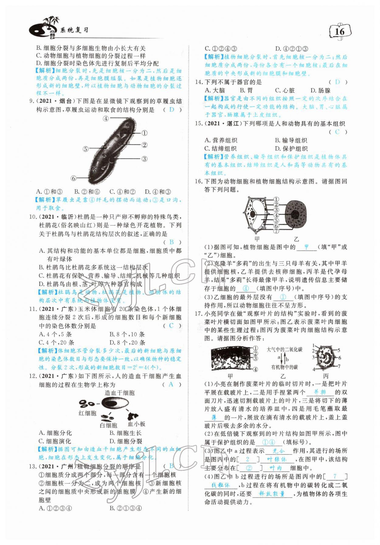 2022年351高效课堂导学案中考生物人教版 参考答案第16页