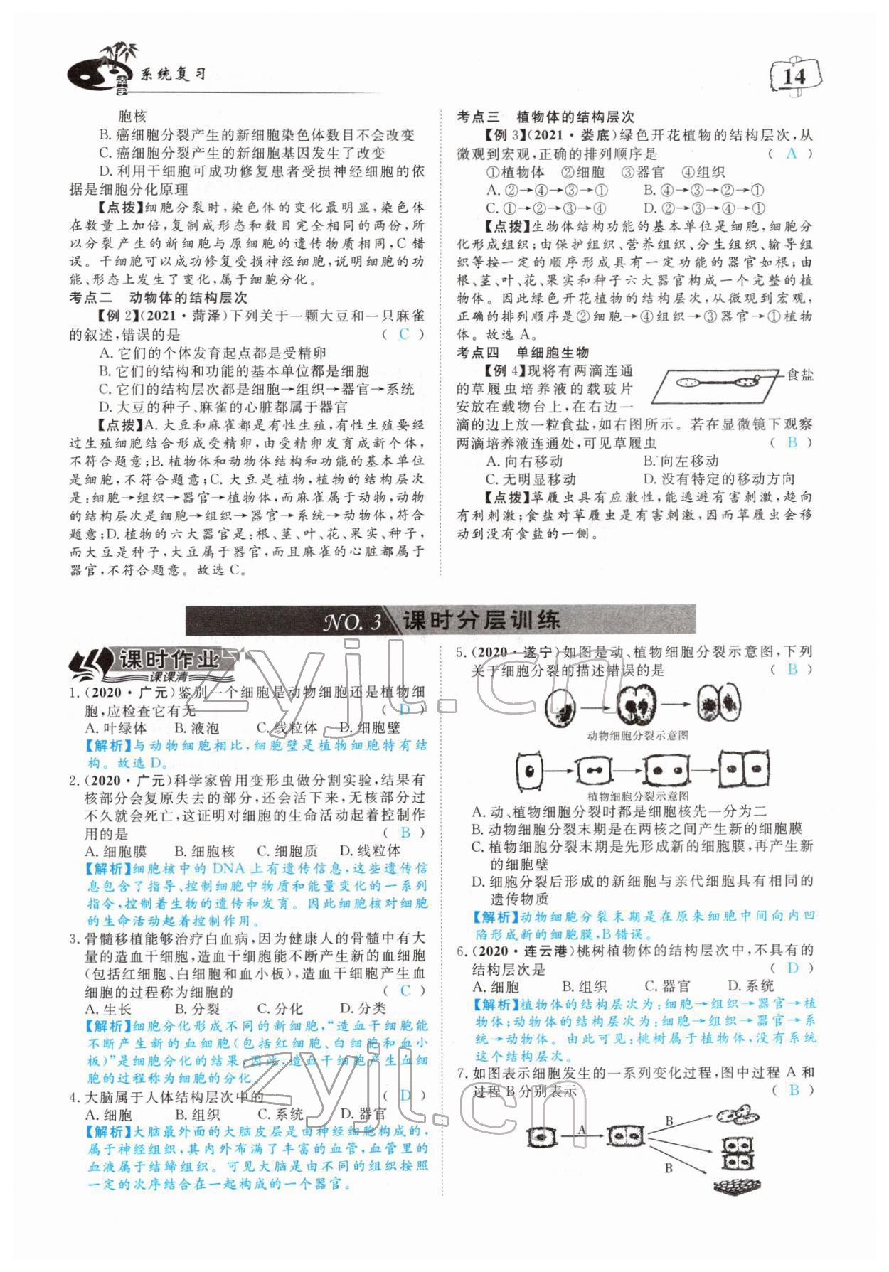 2022年351高效课堂导学案中考生物人教版 参考答案第14页