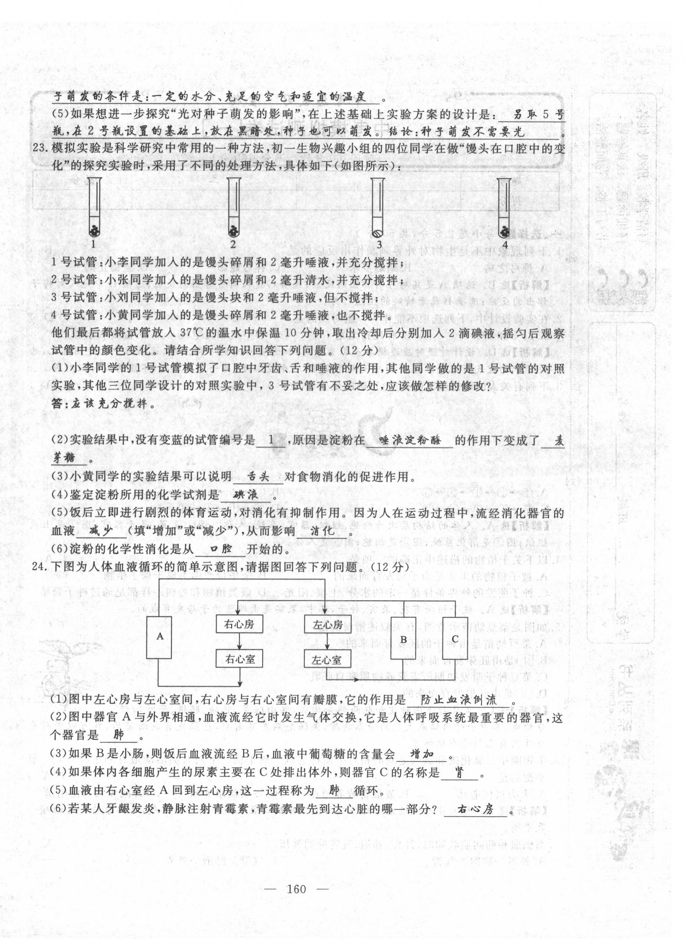 2022年351高效课堂导学案中考生物人教版 第20页