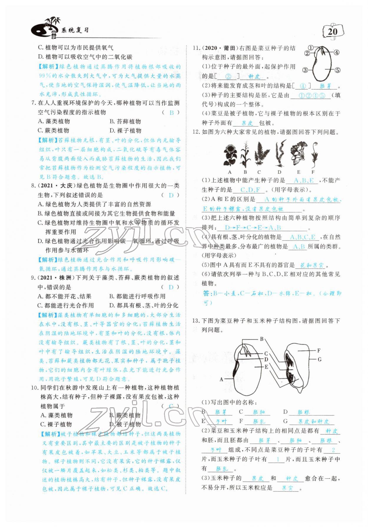 2022年351高效课堂导学案中考生物人教版 参考答案第20页