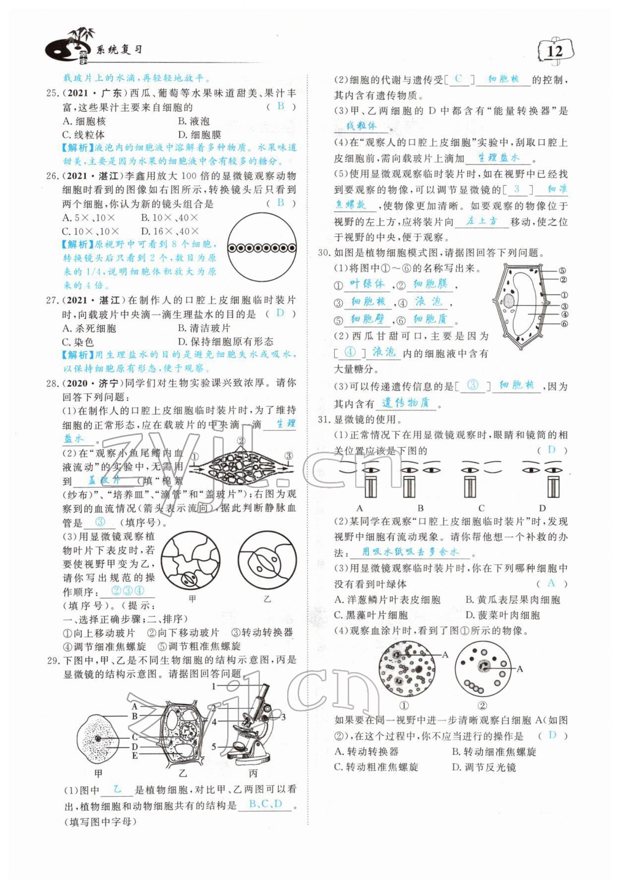 2022年351高效课堂导学案中考生物人教版 参考答案第12页