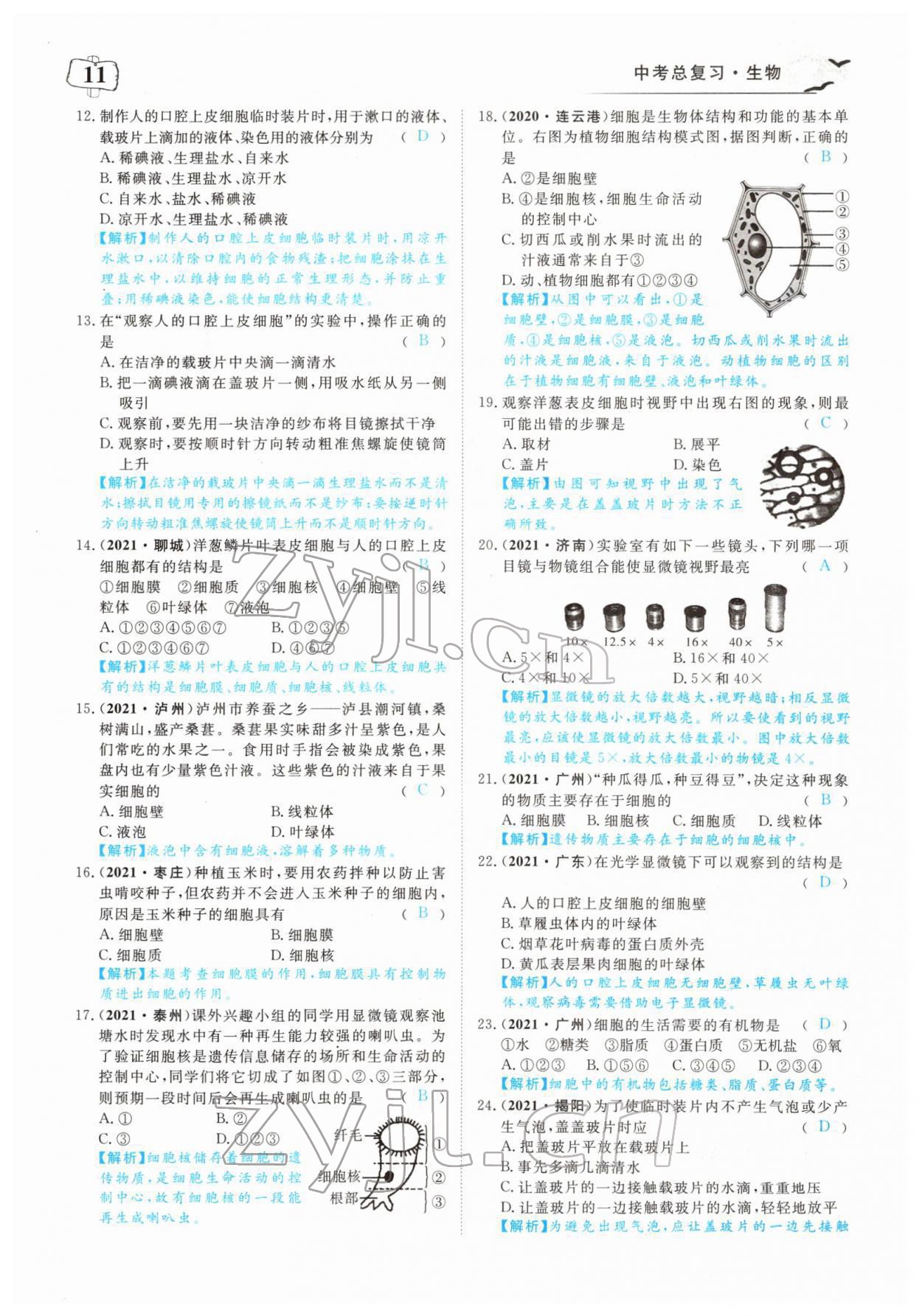 2022年351高效课堂导学案中考生物人教版 参考答案第11页