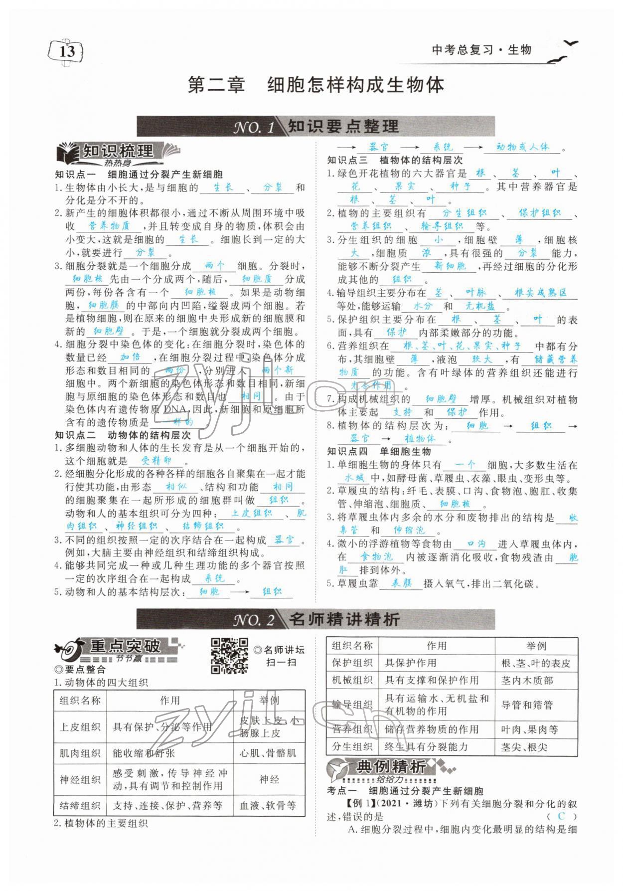 2022年351高效课堂导学案中考生物人教版 参考答案第13页