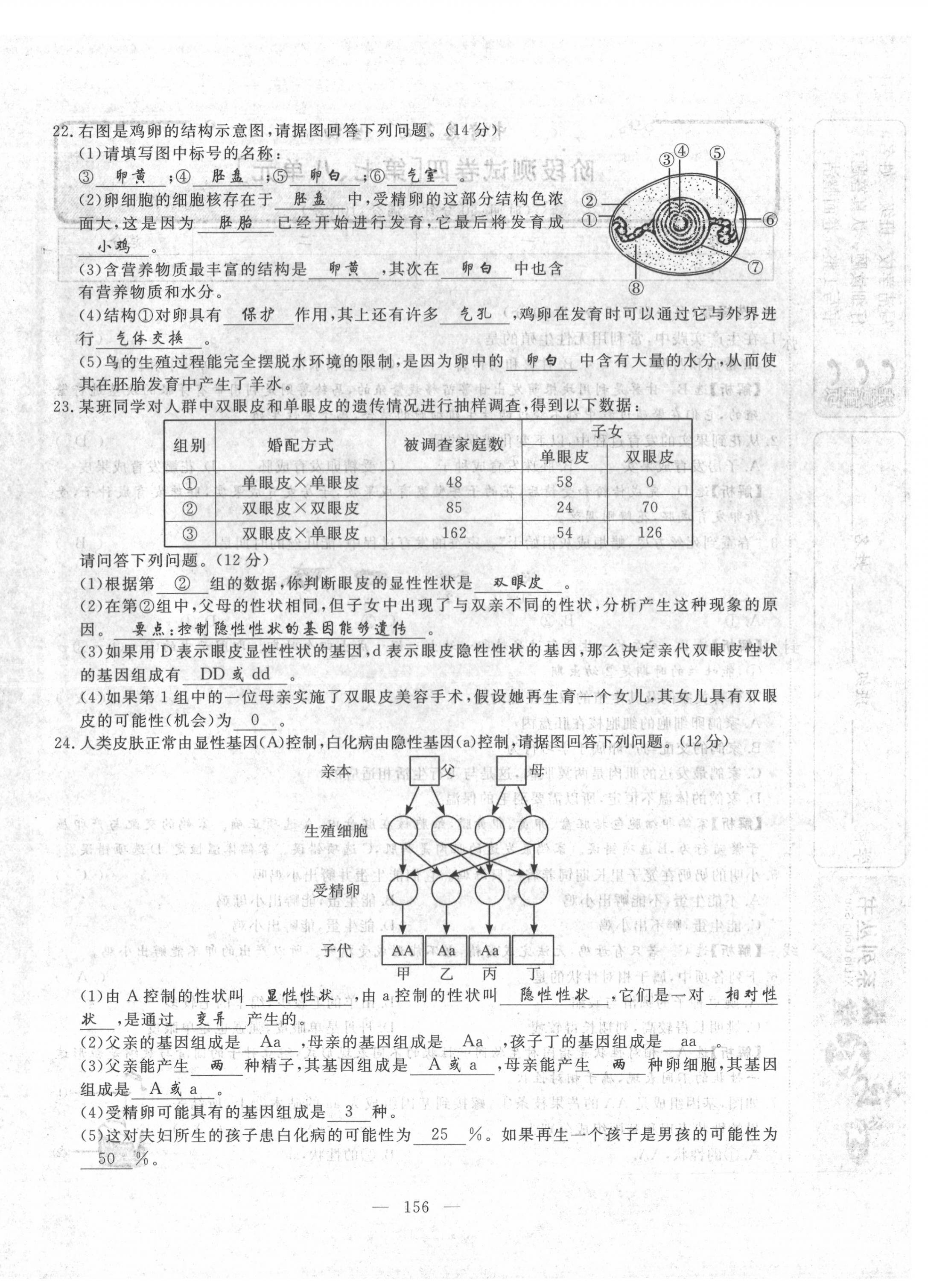 2022年351高效课堂导学案中考生物人教版 第16页