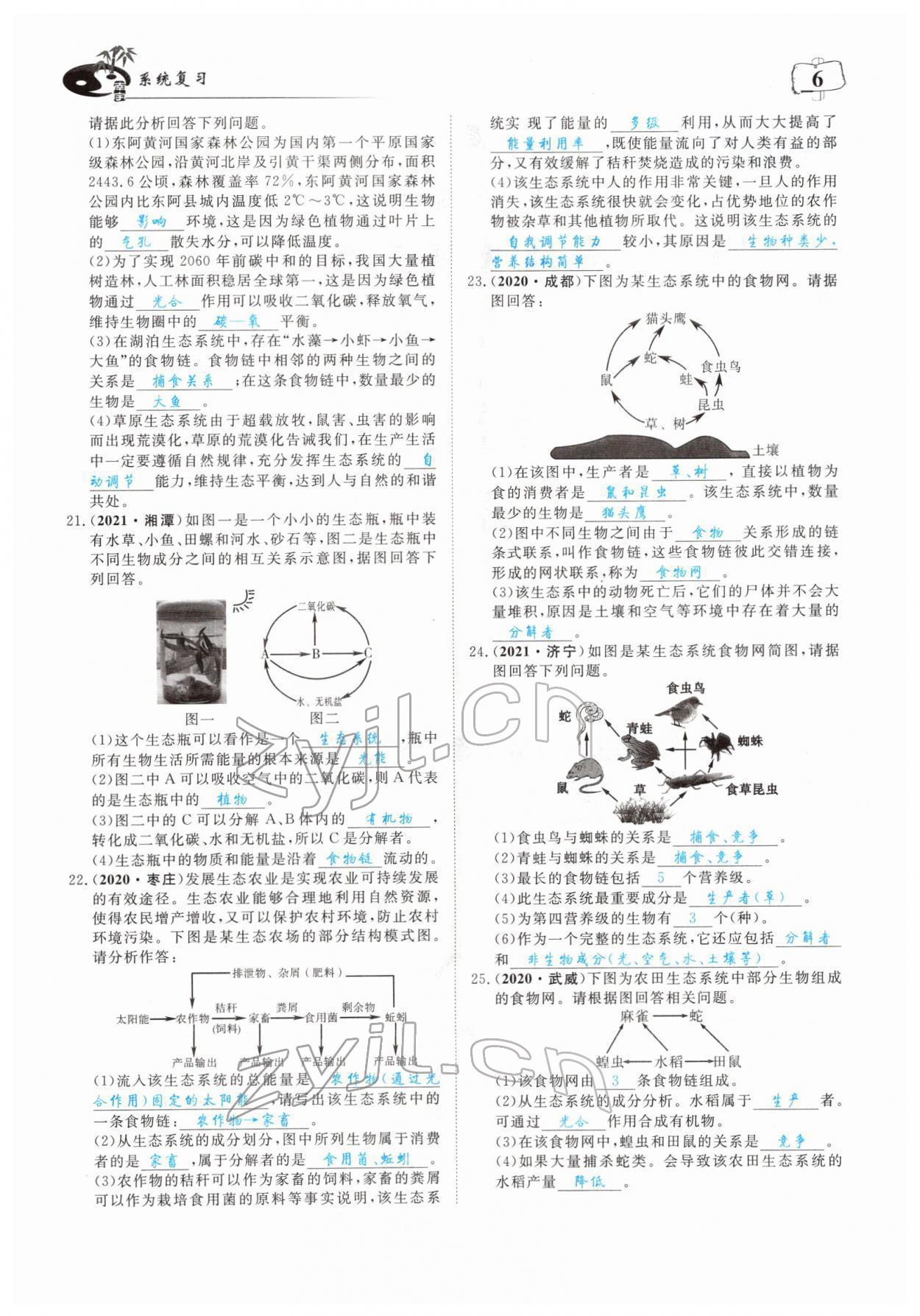 2022年351高效课堂导学案中考生物人教版 参考答案第6页