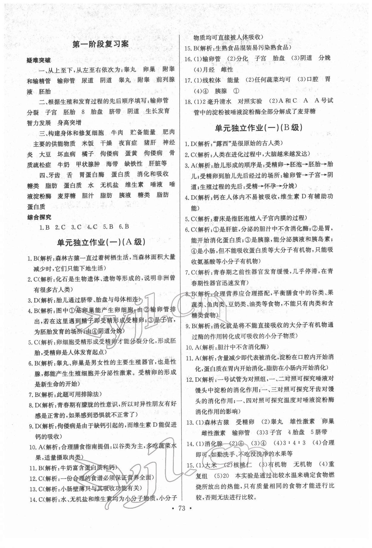 2022年长江全能学案同步练习册七年级生物下册人教版 第3页