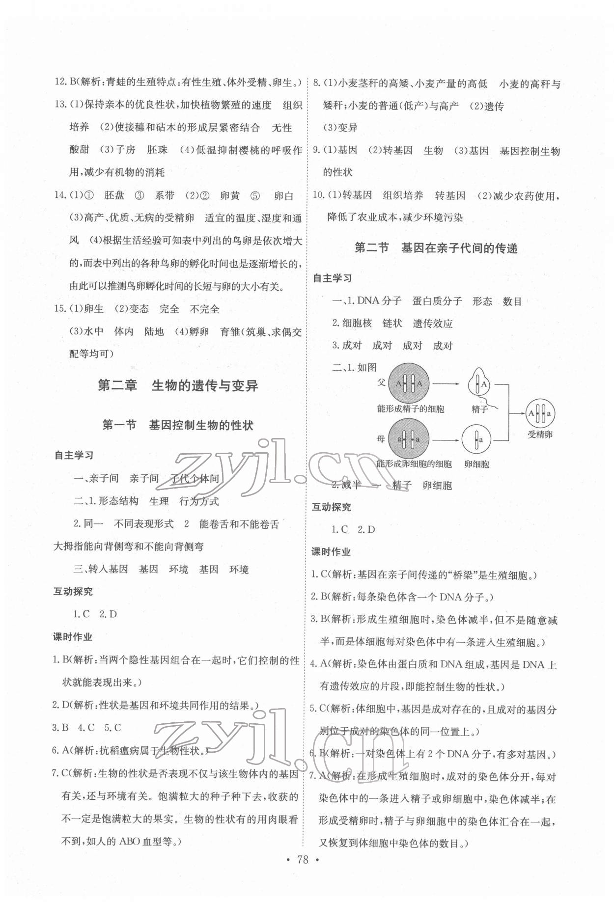 2022年长江全能学案同步练习册八年级生物下册人教版 第4页