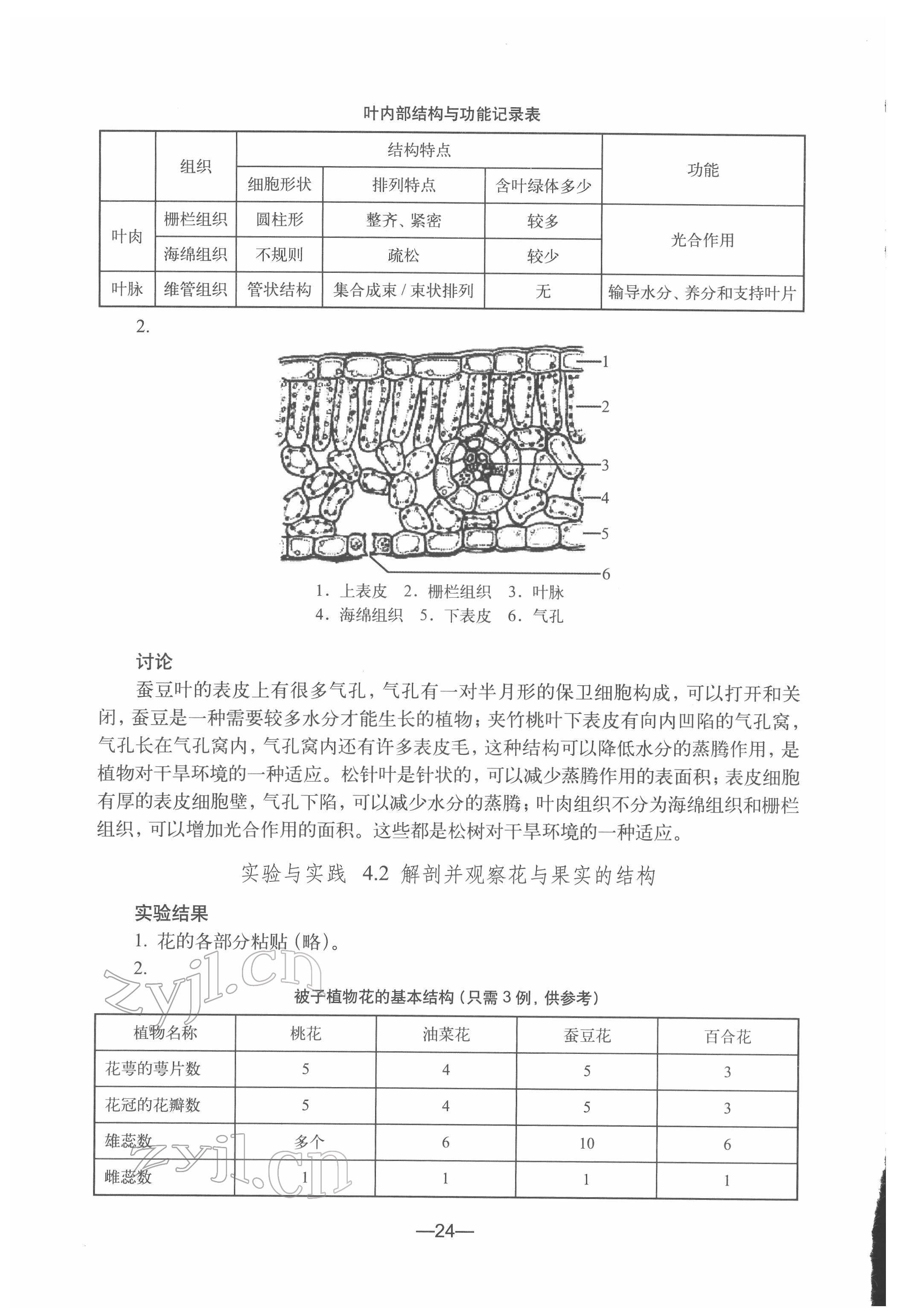 2022年练习部分七年级生物第二册沪教版54制 参考答案第4页