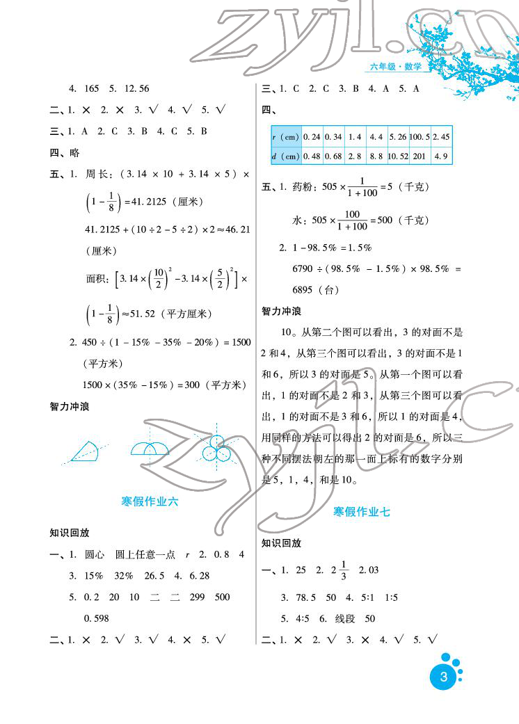 2022年寒假生活六年级数学冀教版河北人民出版社 参考答案第3页