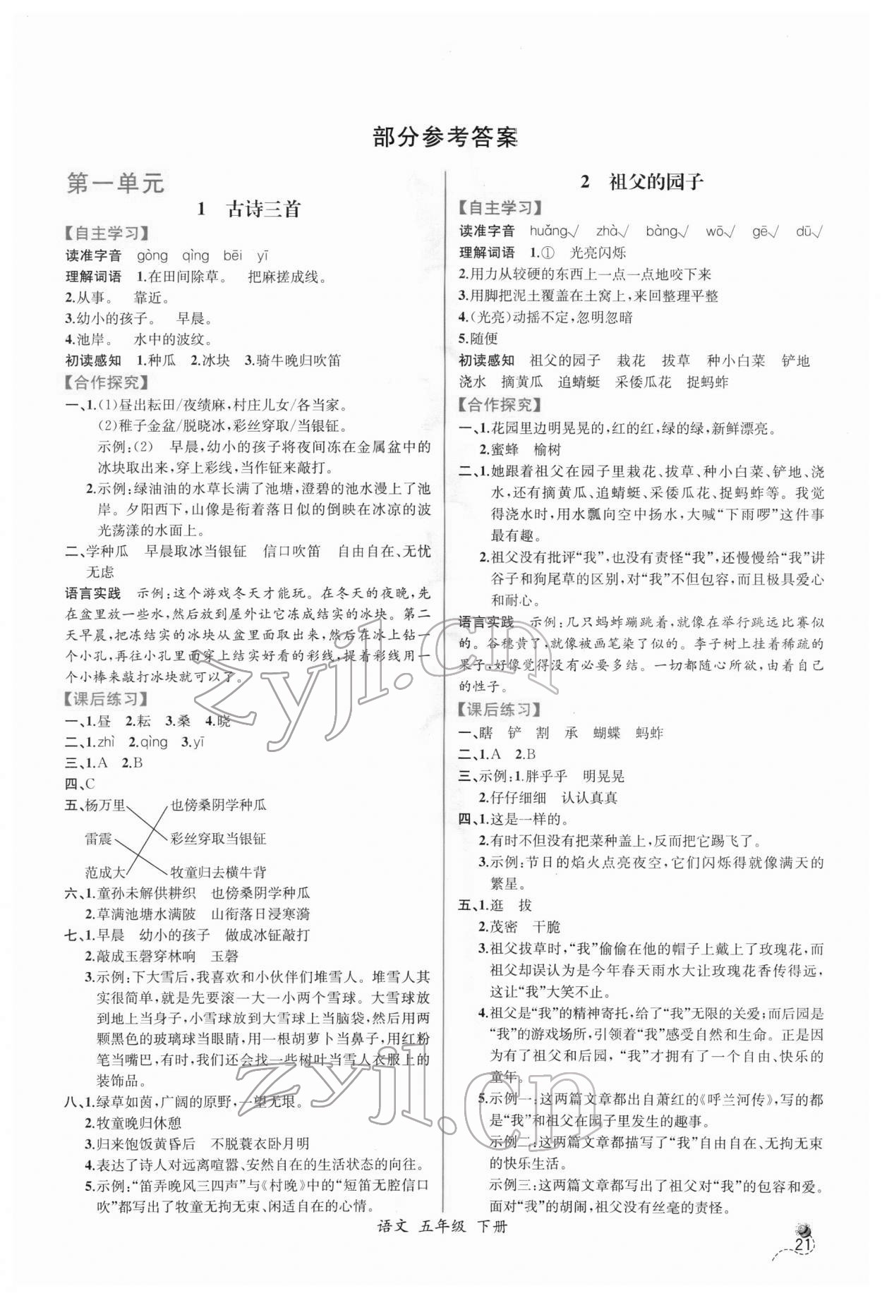 2022年同步導學案課時練五年級語文下冊人教版 第1頁