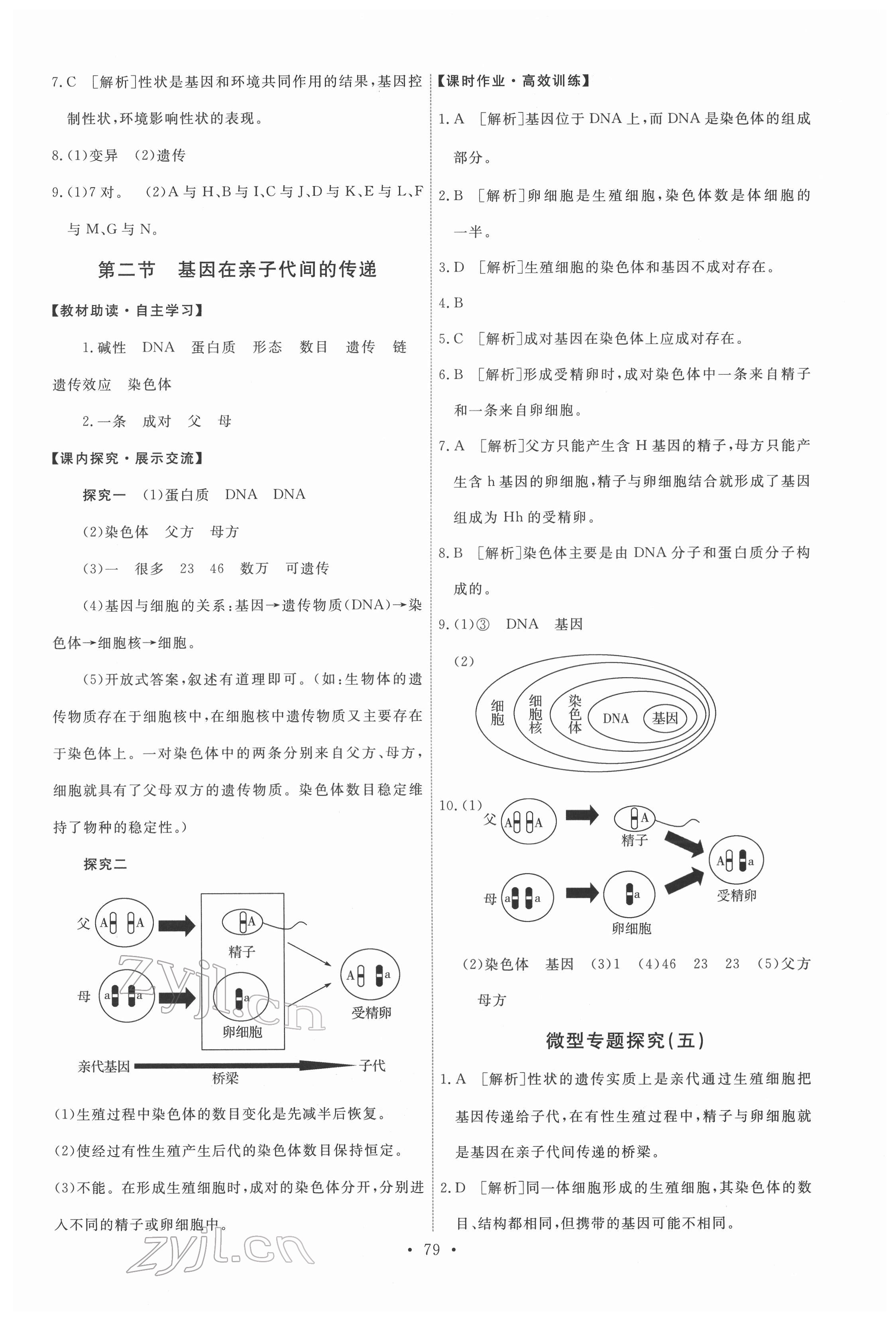 2022年能力培養(yǎng)與測試八年級生物下冊人教版 第5頁