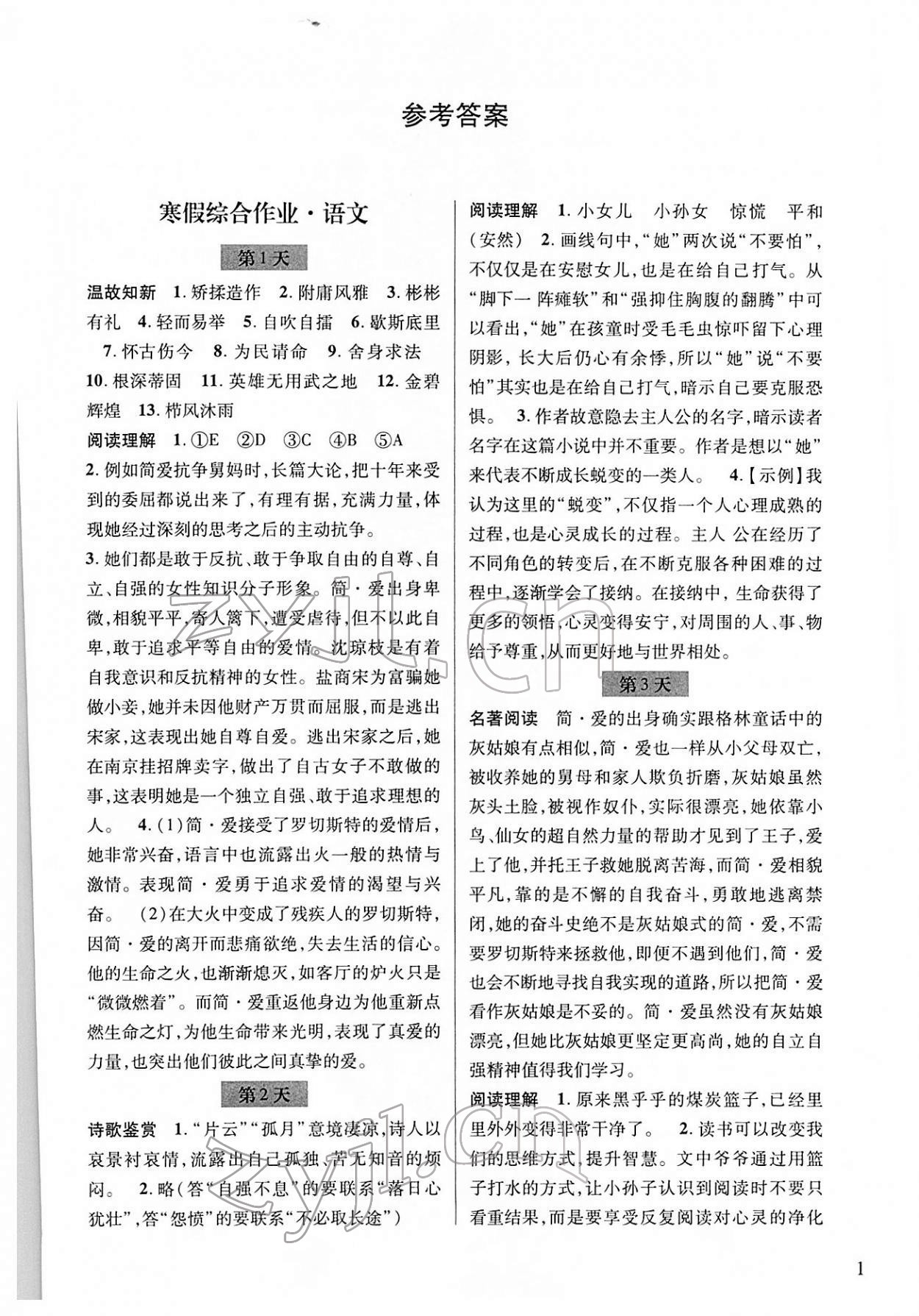 2022年寒假综合作业浙江科学技术出版社九年级 第1页