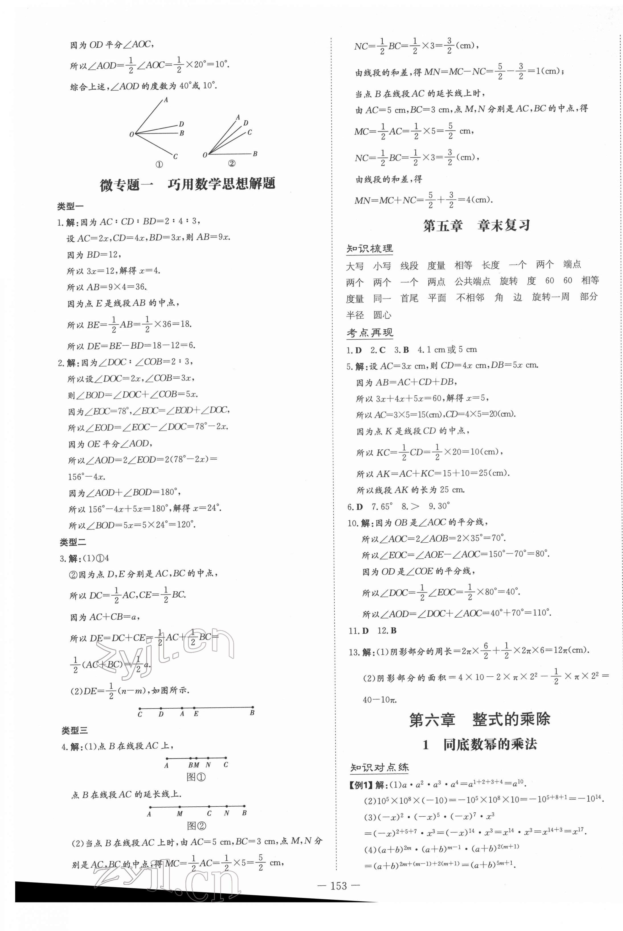 2022年练案六年级数学下册鲁教版五四制 第5页