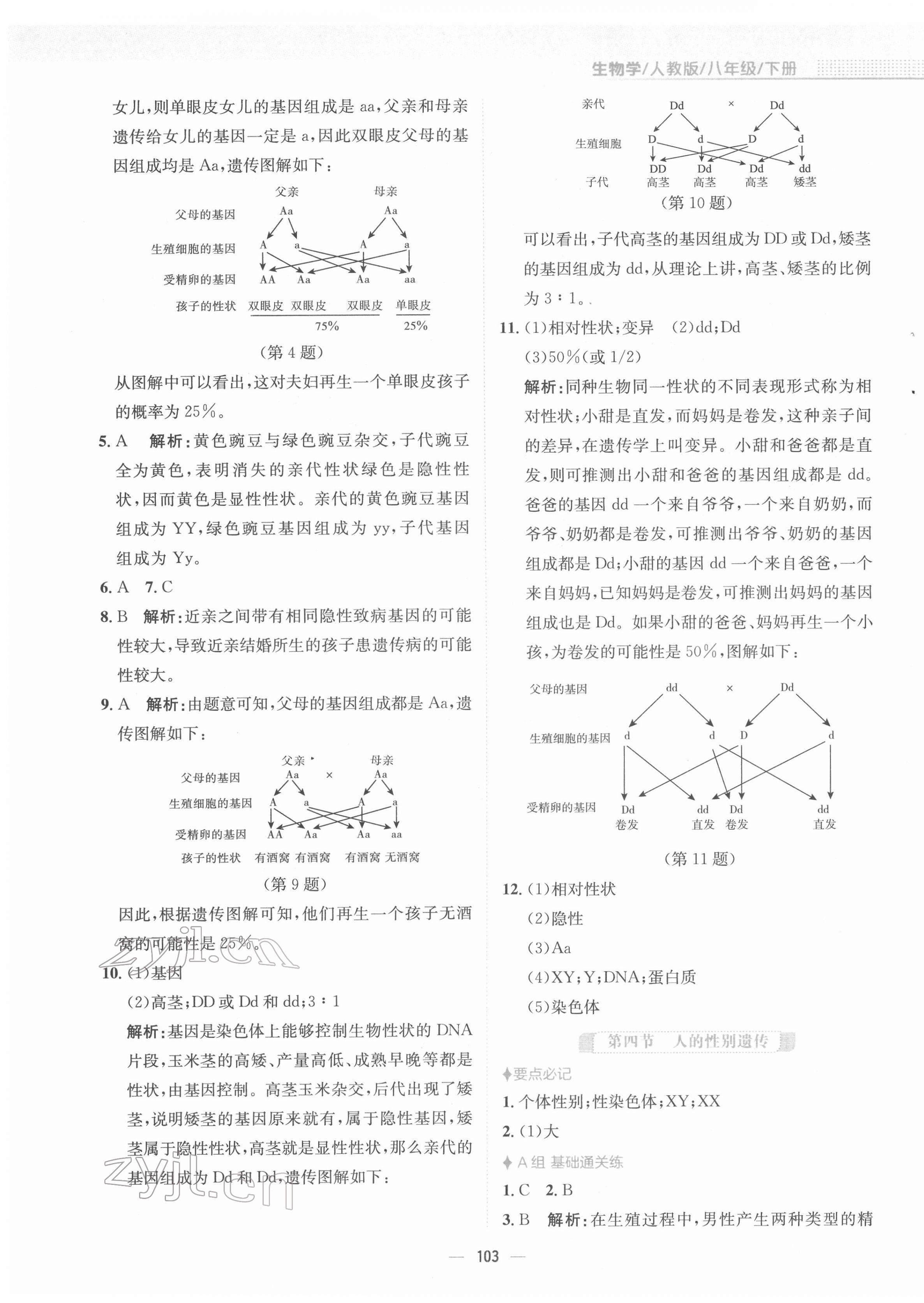 2022年新编基础训练八年级生物下册人教版 第7页