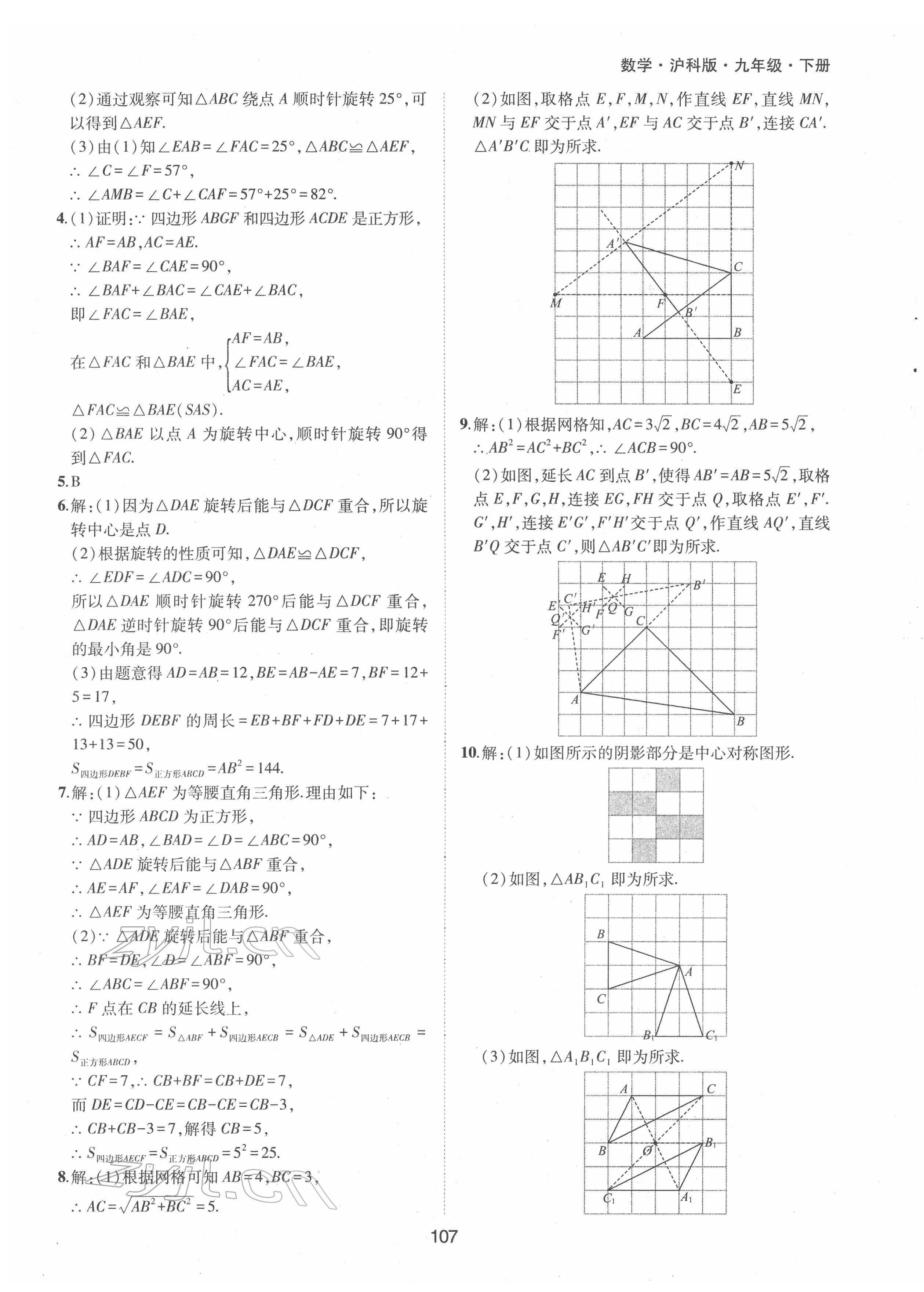 2022年新编基础训练九年级数学下册沪科版黄山书社 参考答案第3页