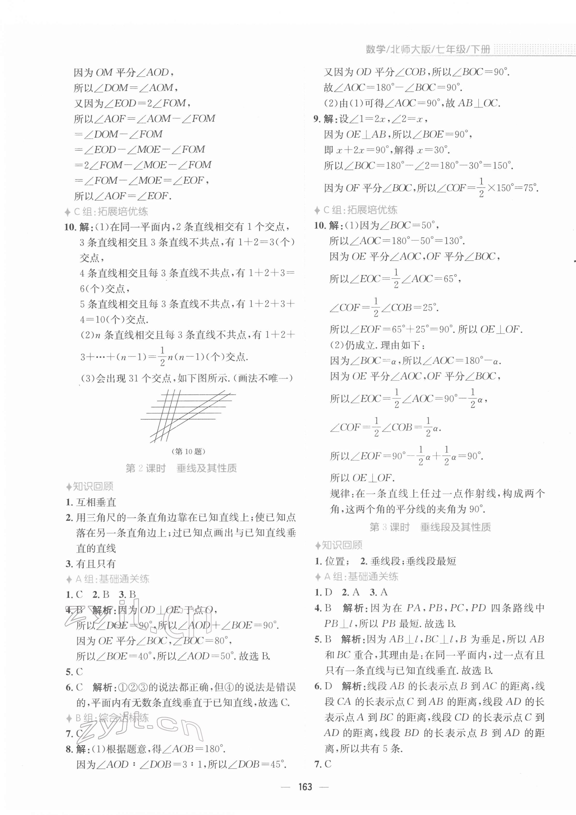 2022年新编基础训练七年级数学下册北师大版 参考答案第7页