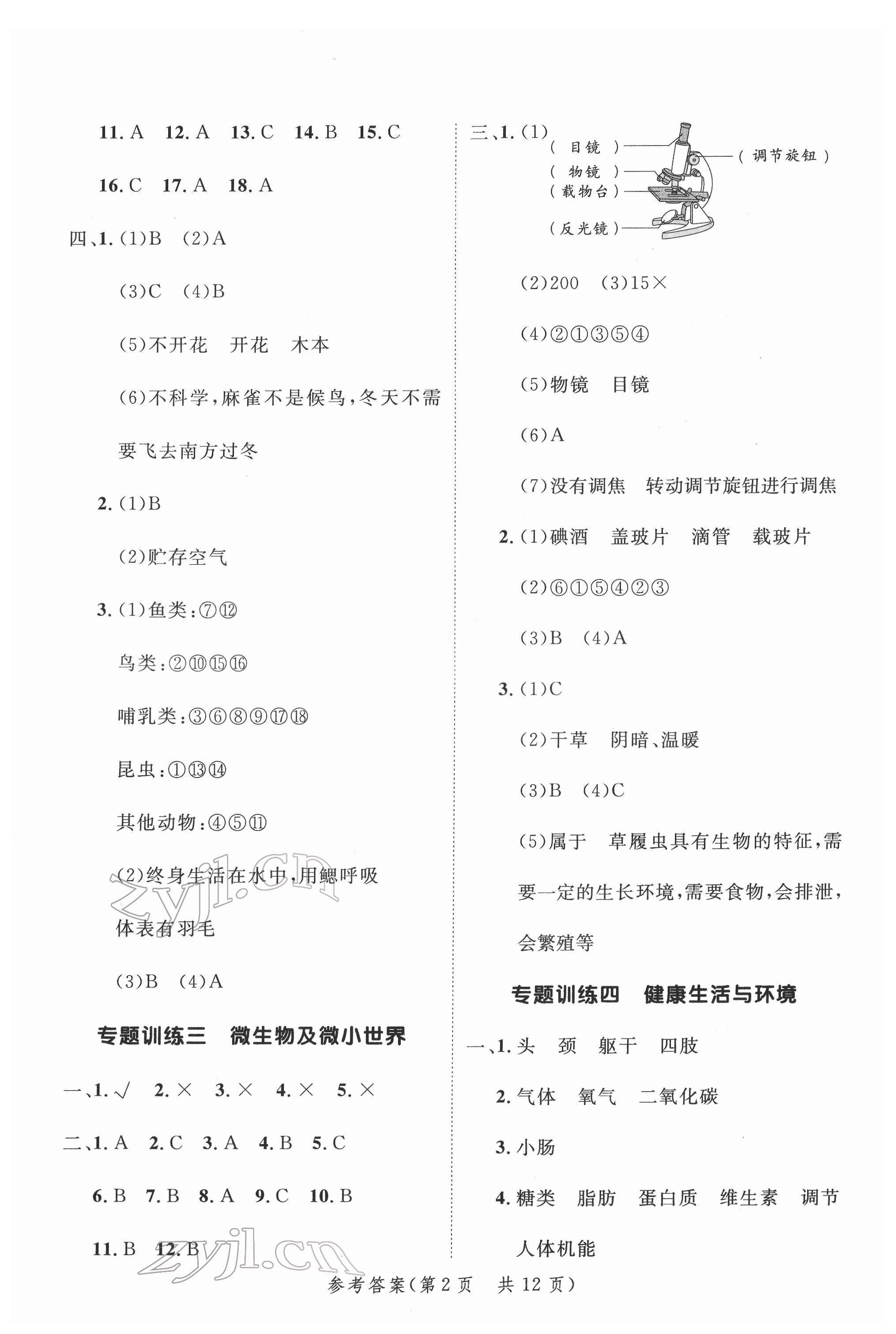 2022年新领程小学总复习高效练案科学 第2页