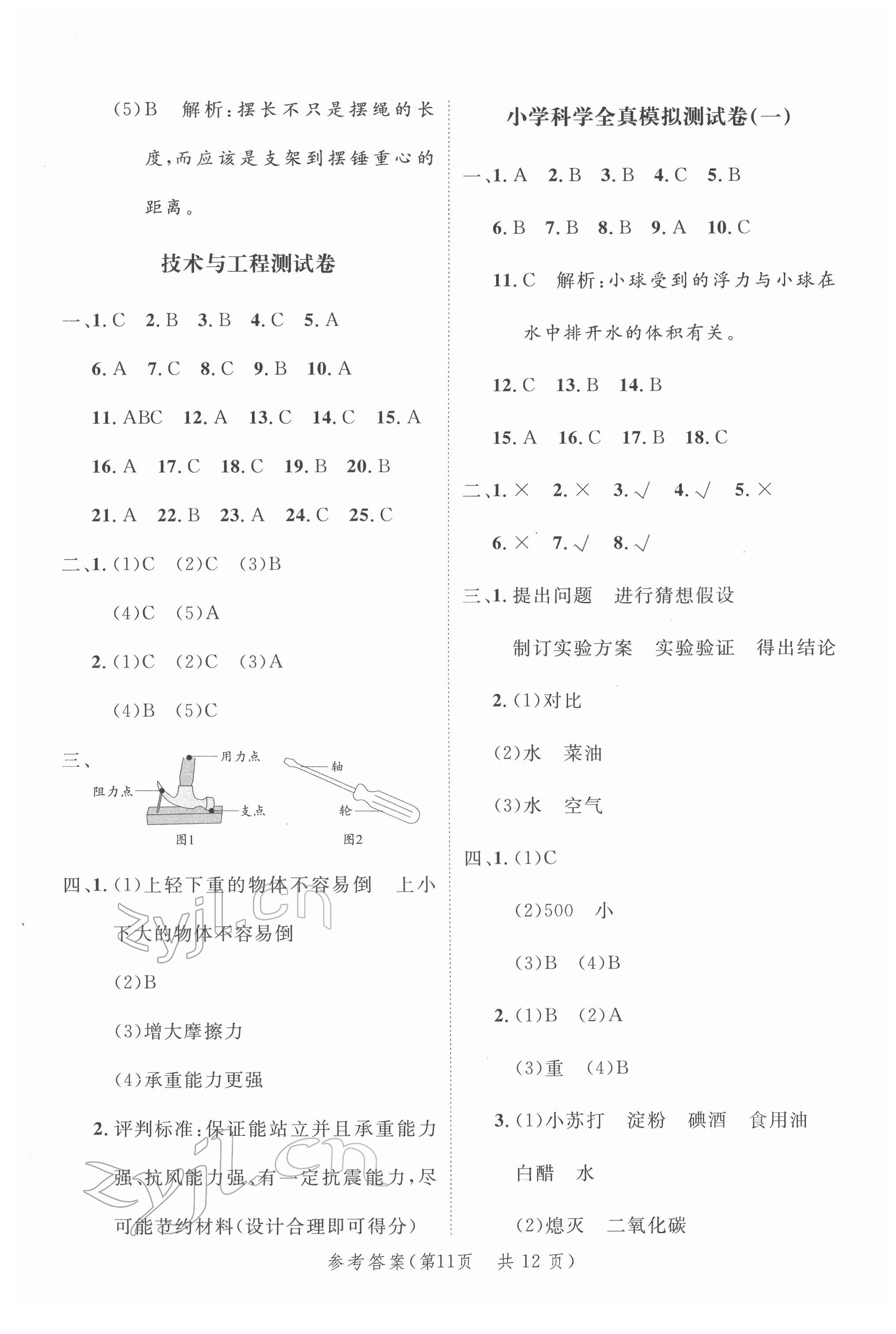 2022年新领程小学总复习高效练案科学 第11页