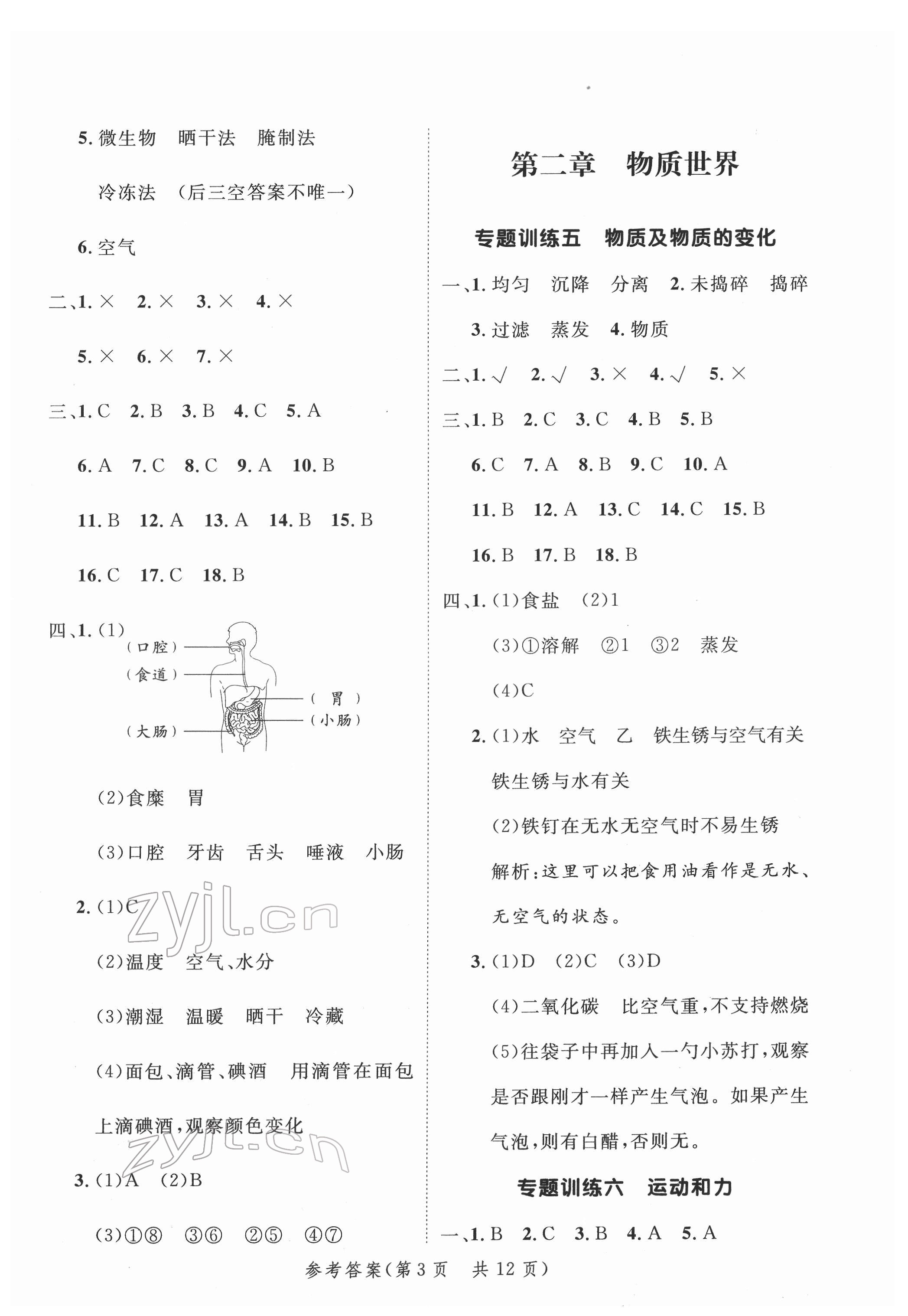 2022年新领程小学总复习高效练案科学 第3页