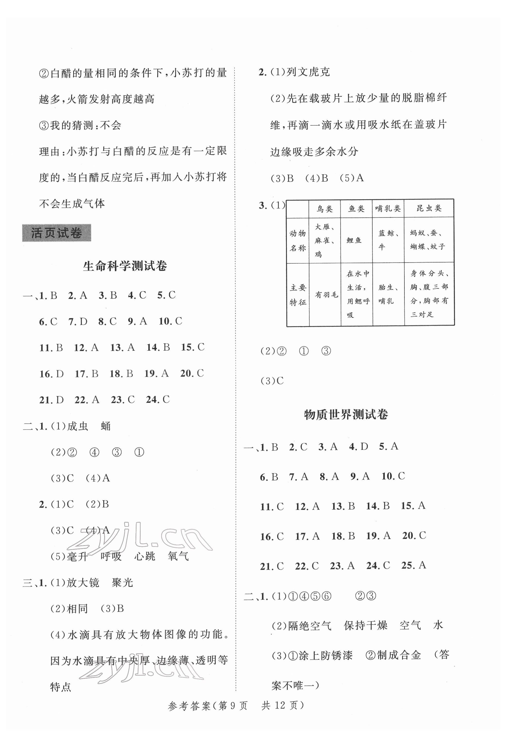 2022年新领程小学总复习高效练案科学 第9页