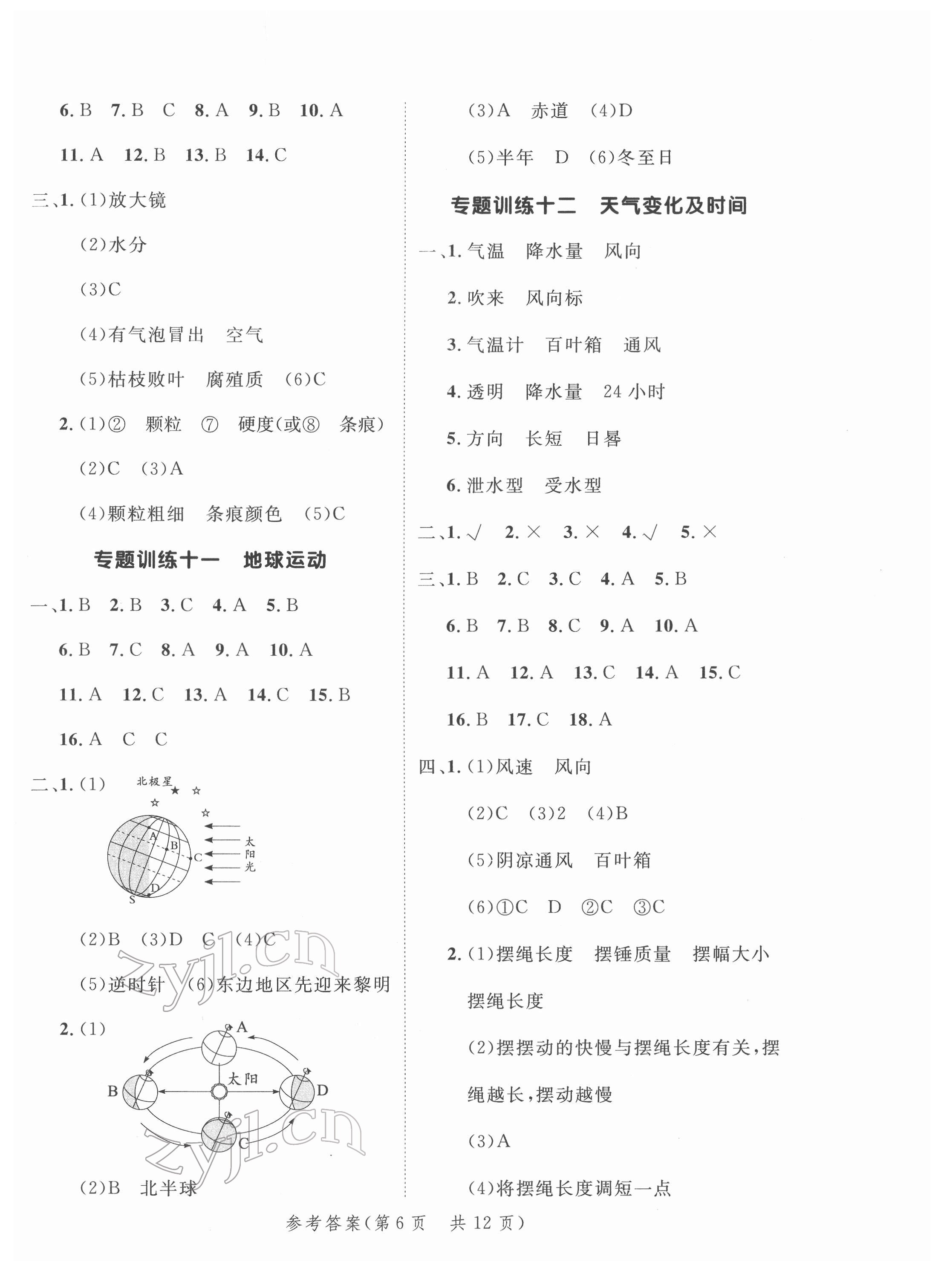 2022年新领程小学总复习高效练案科学 第6页