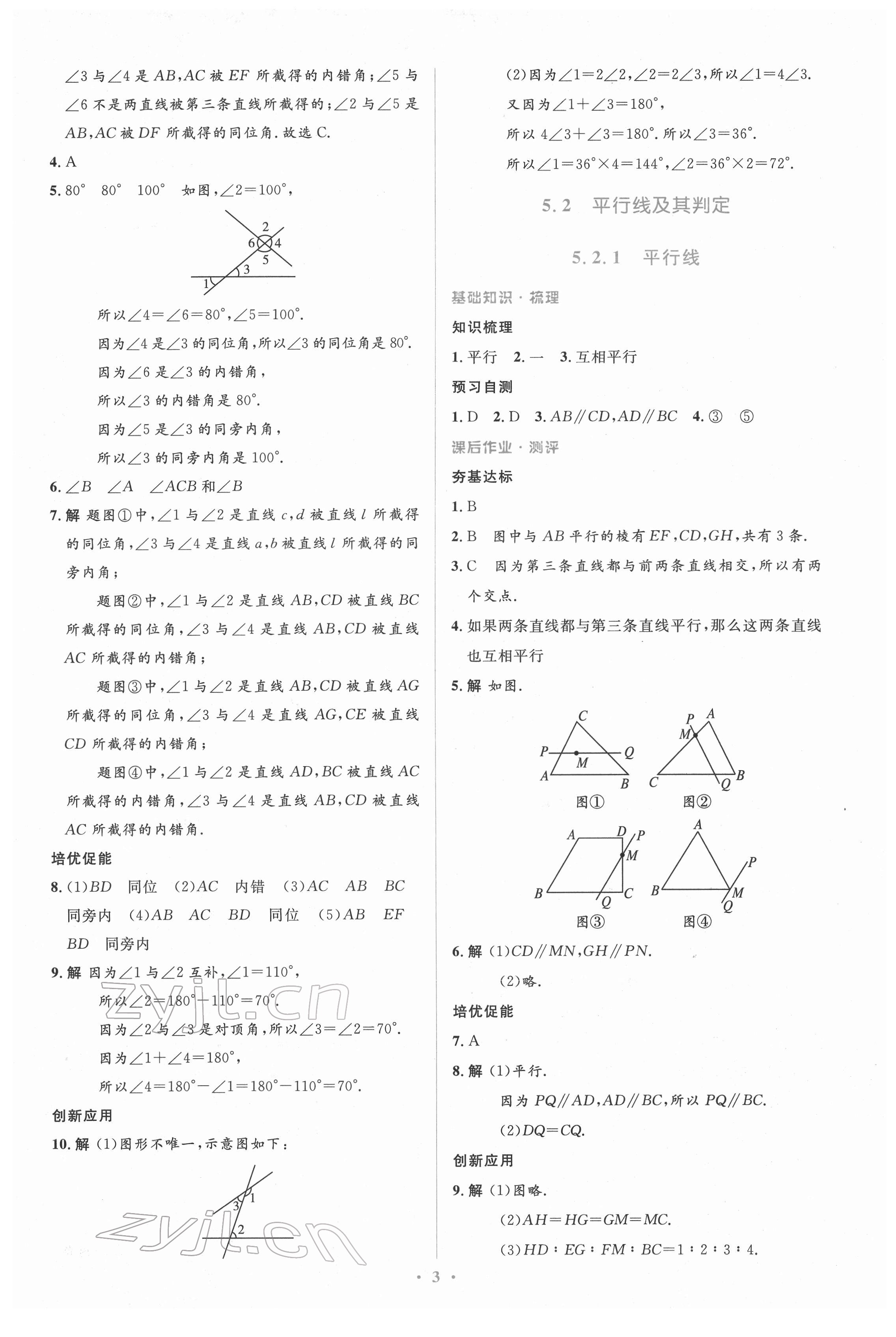 2022年人教金学典同步解析与测评学考练七年级数学下册人教版 参考答案第3页