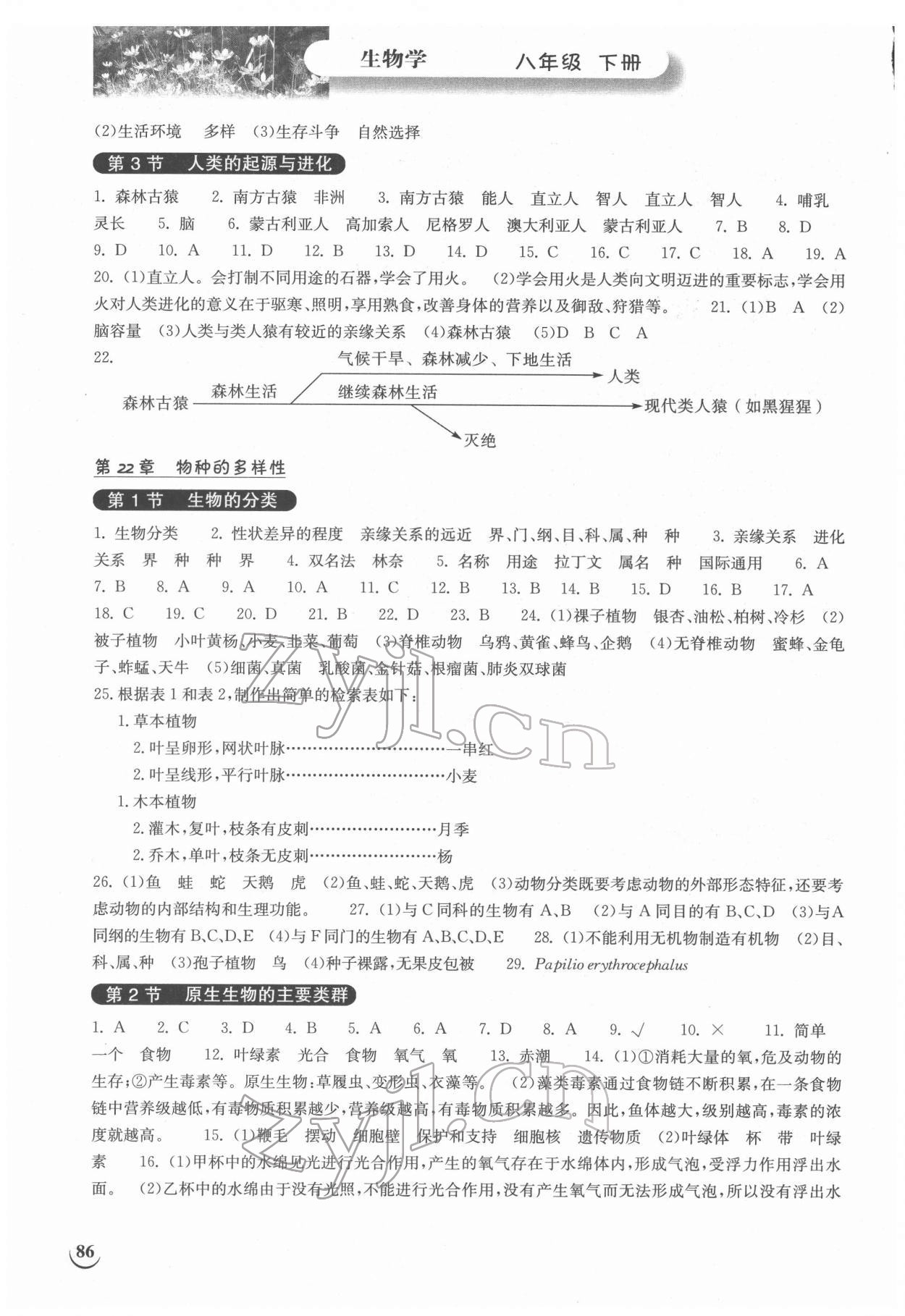2022年长江作业本同步练习册八年级生物下册北师大版 第2页
