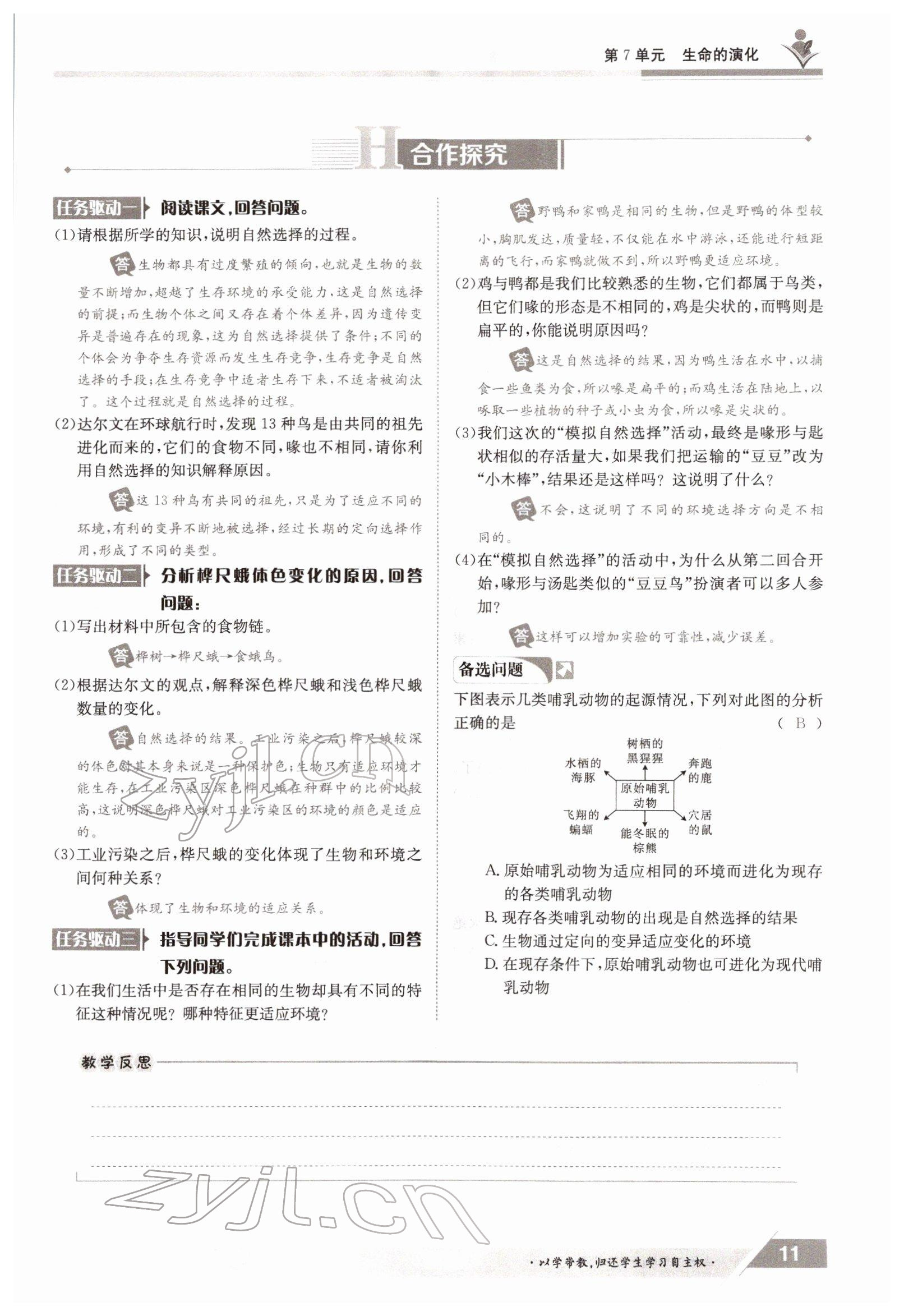 2022年金太陽導(dǎo)學(xué)案八年級(jí)生物下冊(cè)北師大版 參考答案第11頁