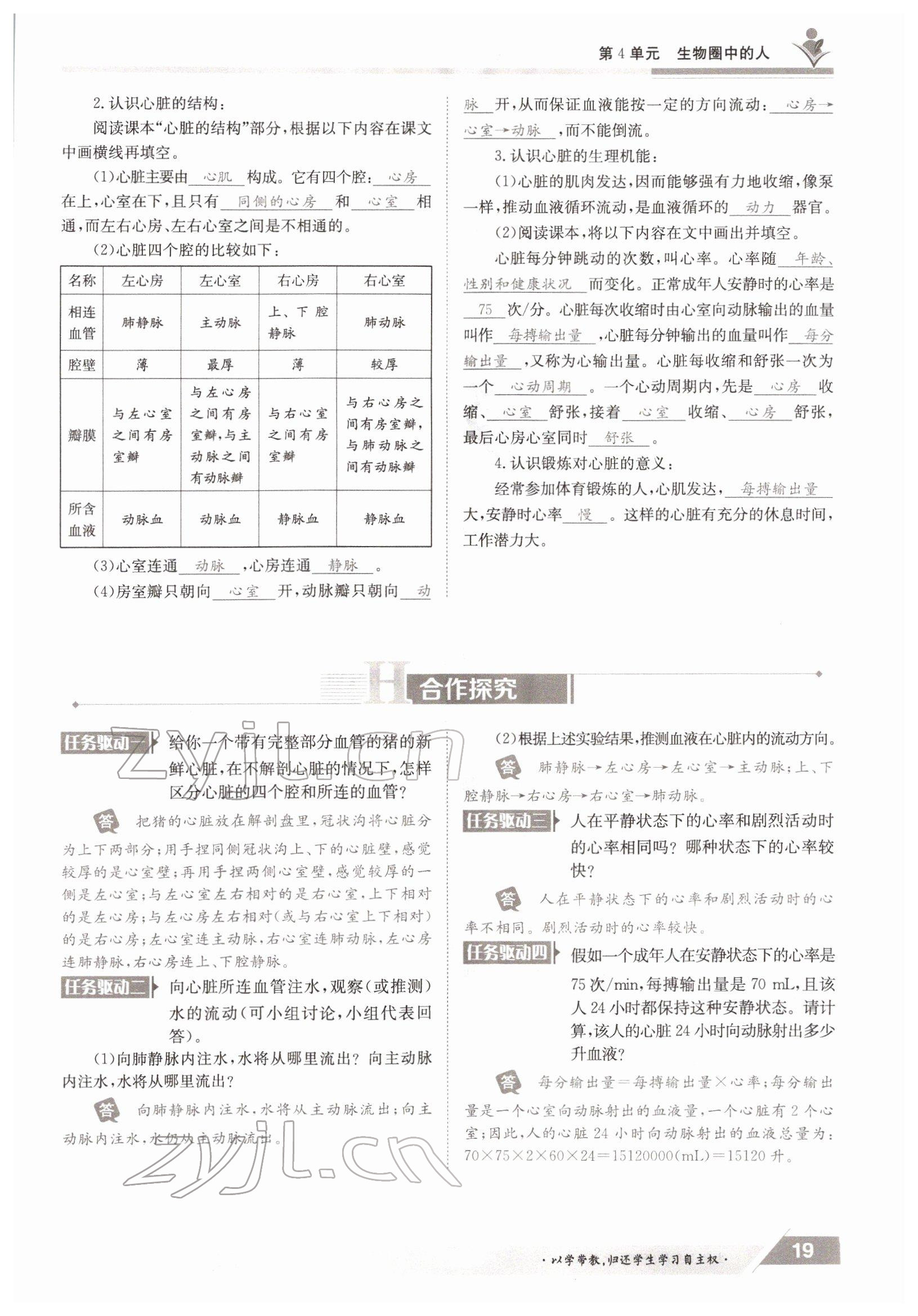 2022年金太陽導(dǎo)學(xué)案七年級生物下冊北師大版 參考答案第19頁