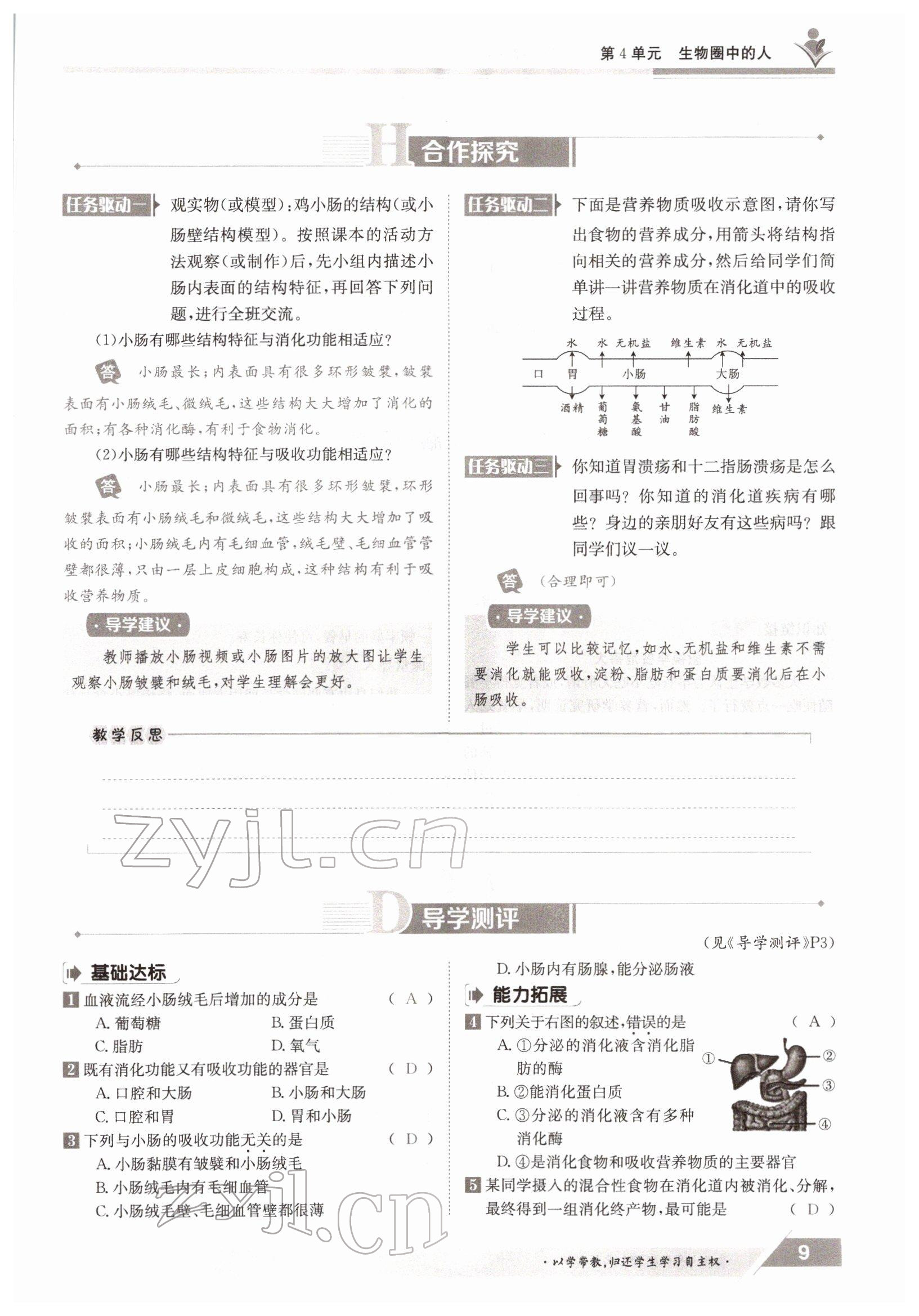 2022年金太陽導(dǎo)學(xué)案七年級生物下冊北師大版 參考答案第9頁