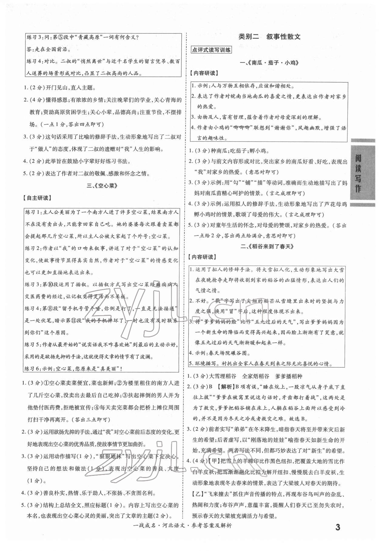 2022年一战成名考前新方案语文河北专版 第3页