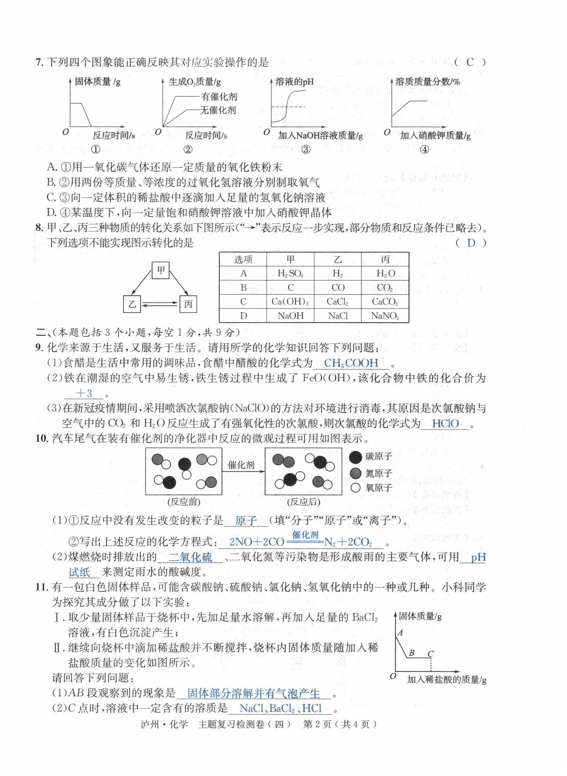 2022年國華考試中考總動員化學(xué)瀘州專版 第14頁