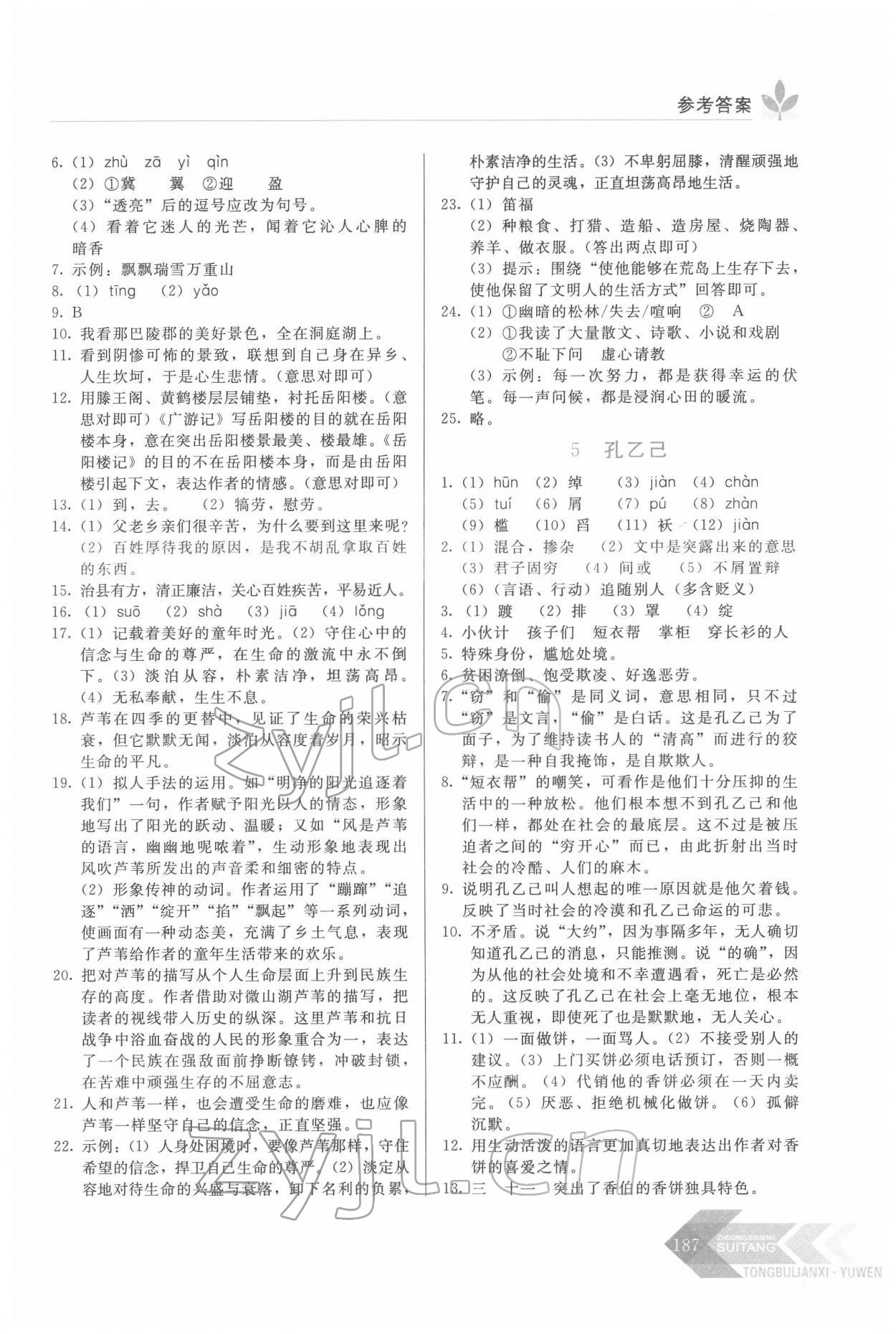 2022年随堂同步练习九年级语文下册人教版 第3页