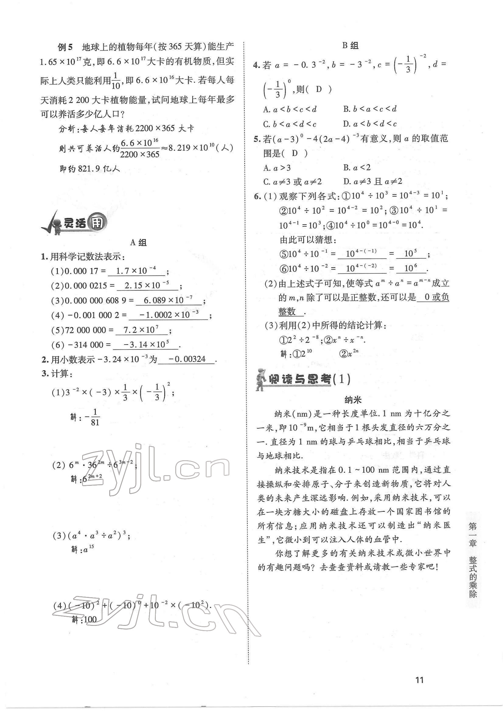 2022年育才金典七年級數(shù)學(xué)下冊北師大版 參考答案第11頁