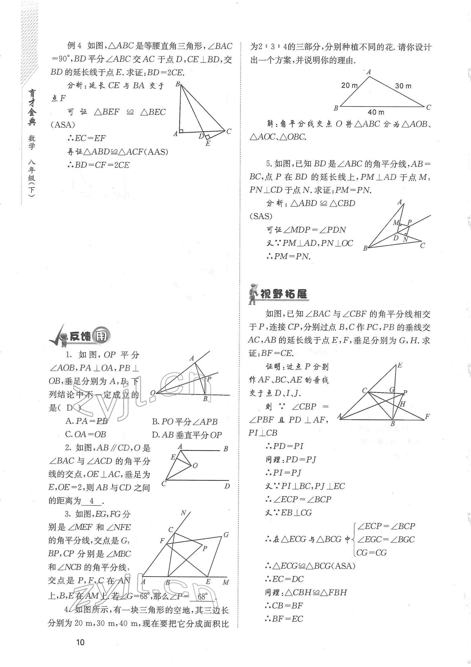 2022年育才金典八年级数学下册北师大版 参考答案第10页