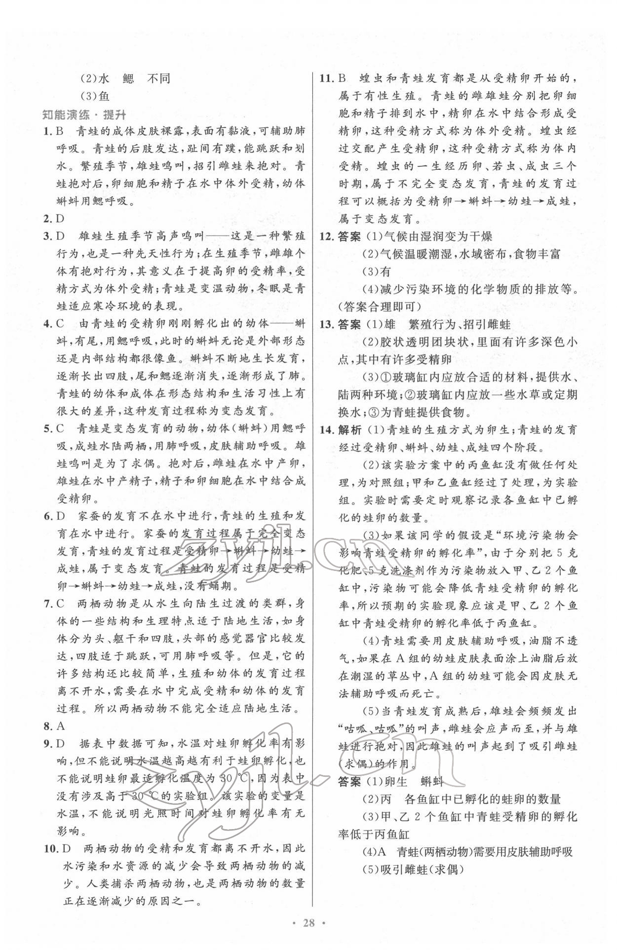 2022年同步測(cè)控優(yōu)化設(shè)計(jì)八年級(jí)生物下冊(cè)人教版 第4頁(yè)