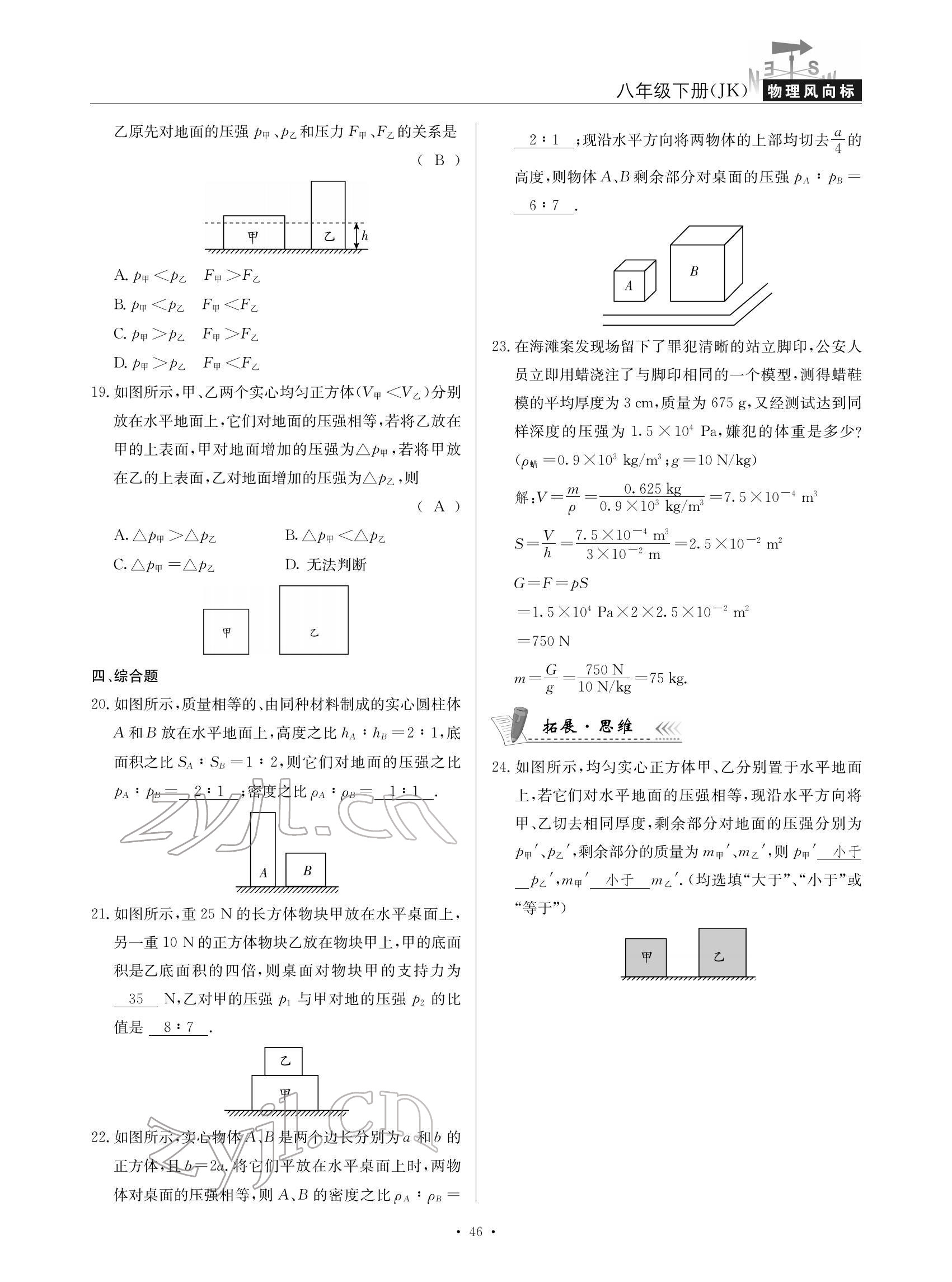 2022年物理风向标八年级下册教科版 参考答案第46页