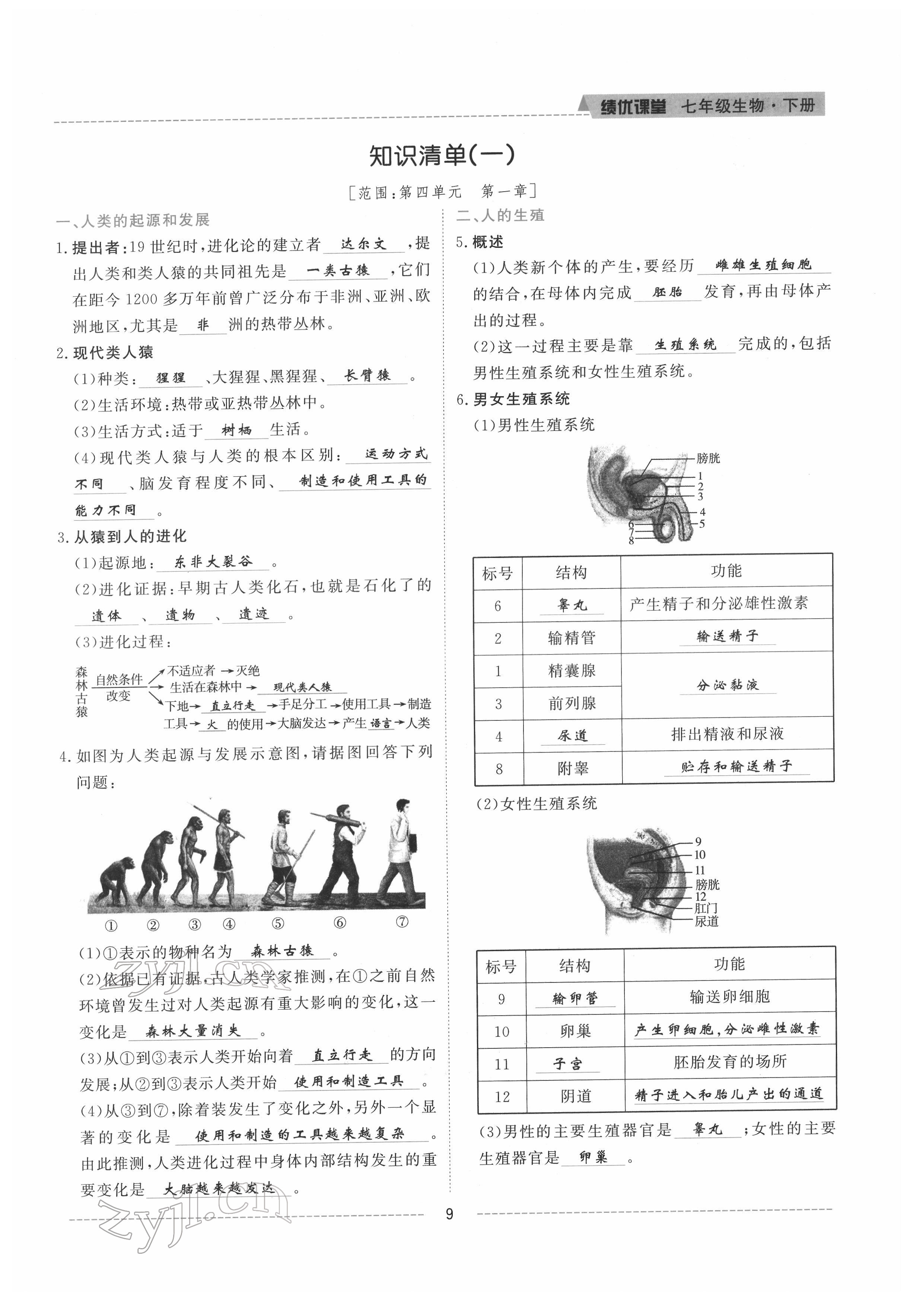 2022年绩优课堂高效提升满分备考七年级生物下册人教版 参考答案第9页