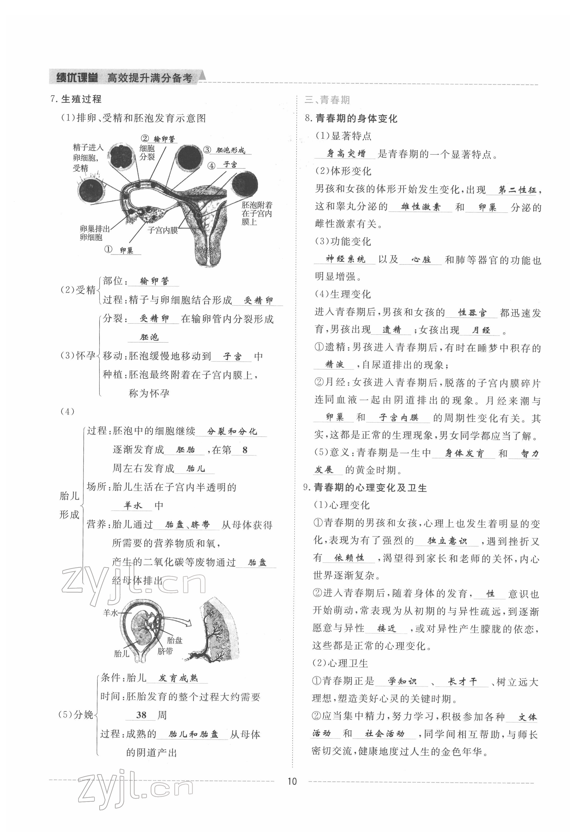 2022年绩优课堂高效提升满分备考七年级生物下册人教版 参考答案第10页