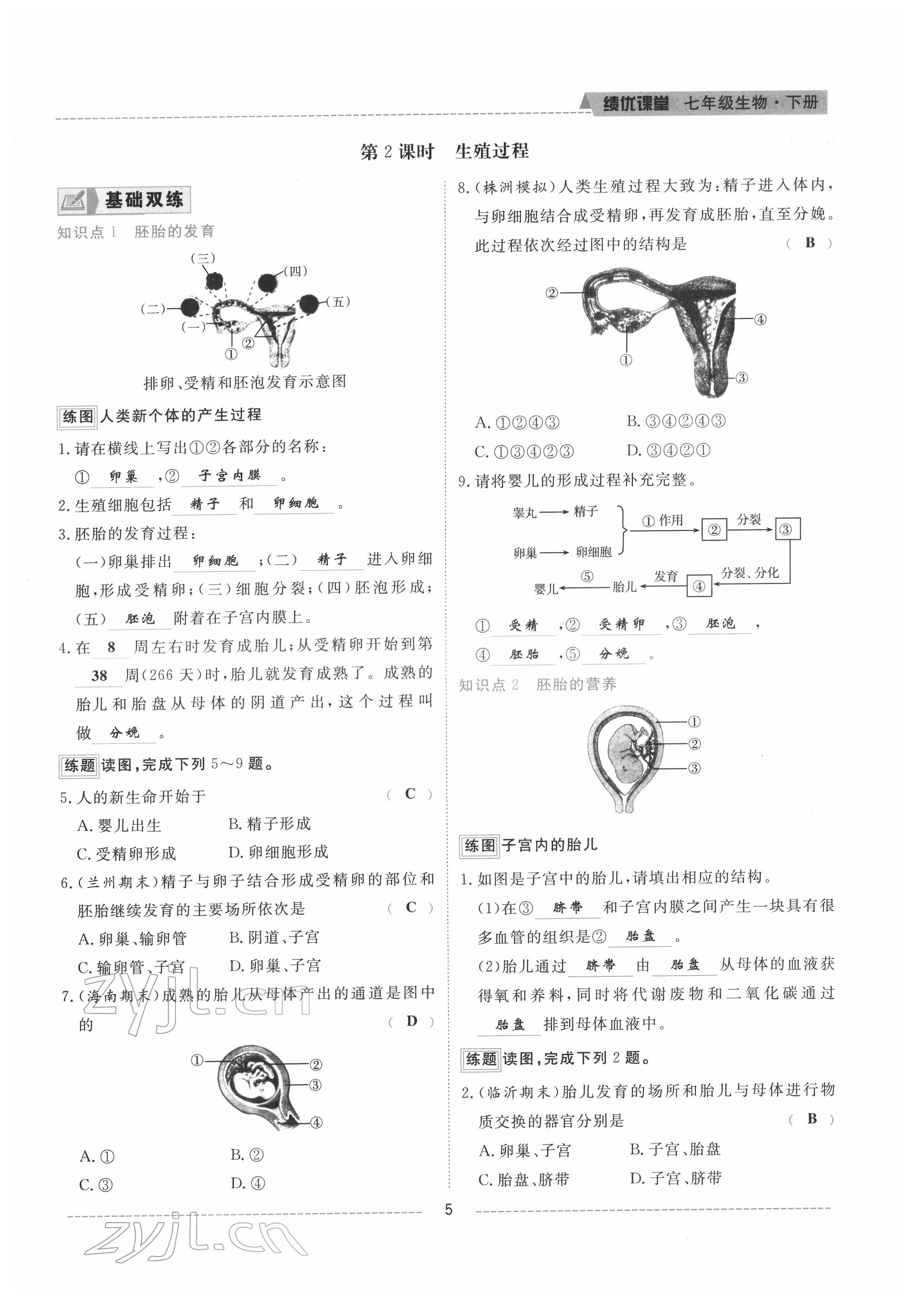 2022年绩优课堂高效提升满分备考七年级生物下册人教版 参考答案第5页