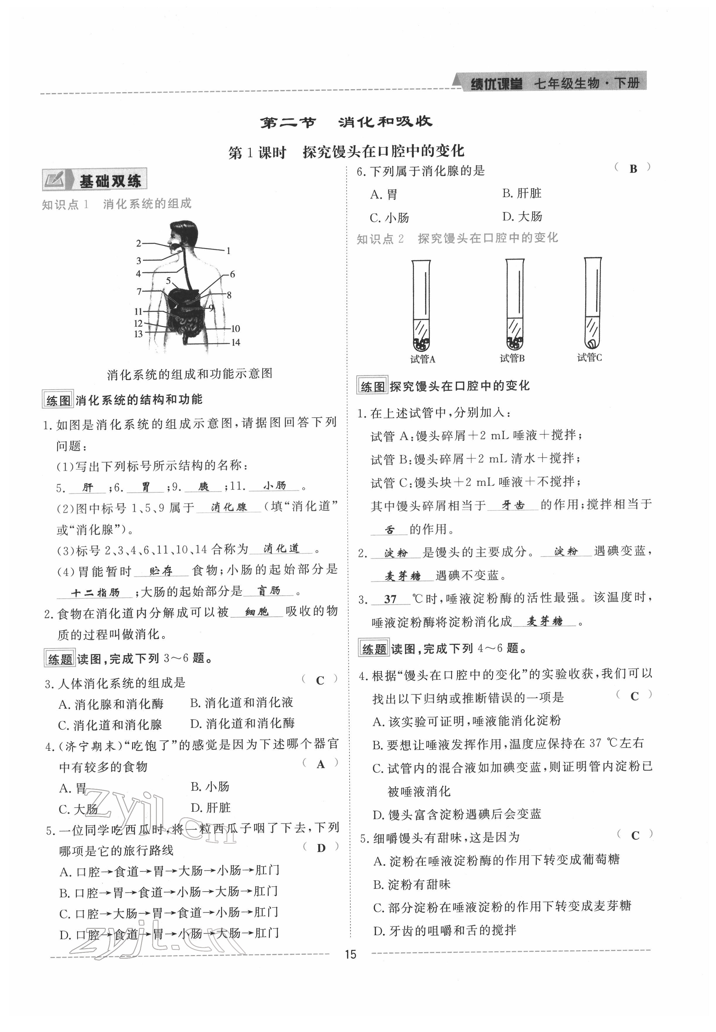 2022年绩优课堂高效提升满分备考七年级生物下册人教版 参考答案第15页