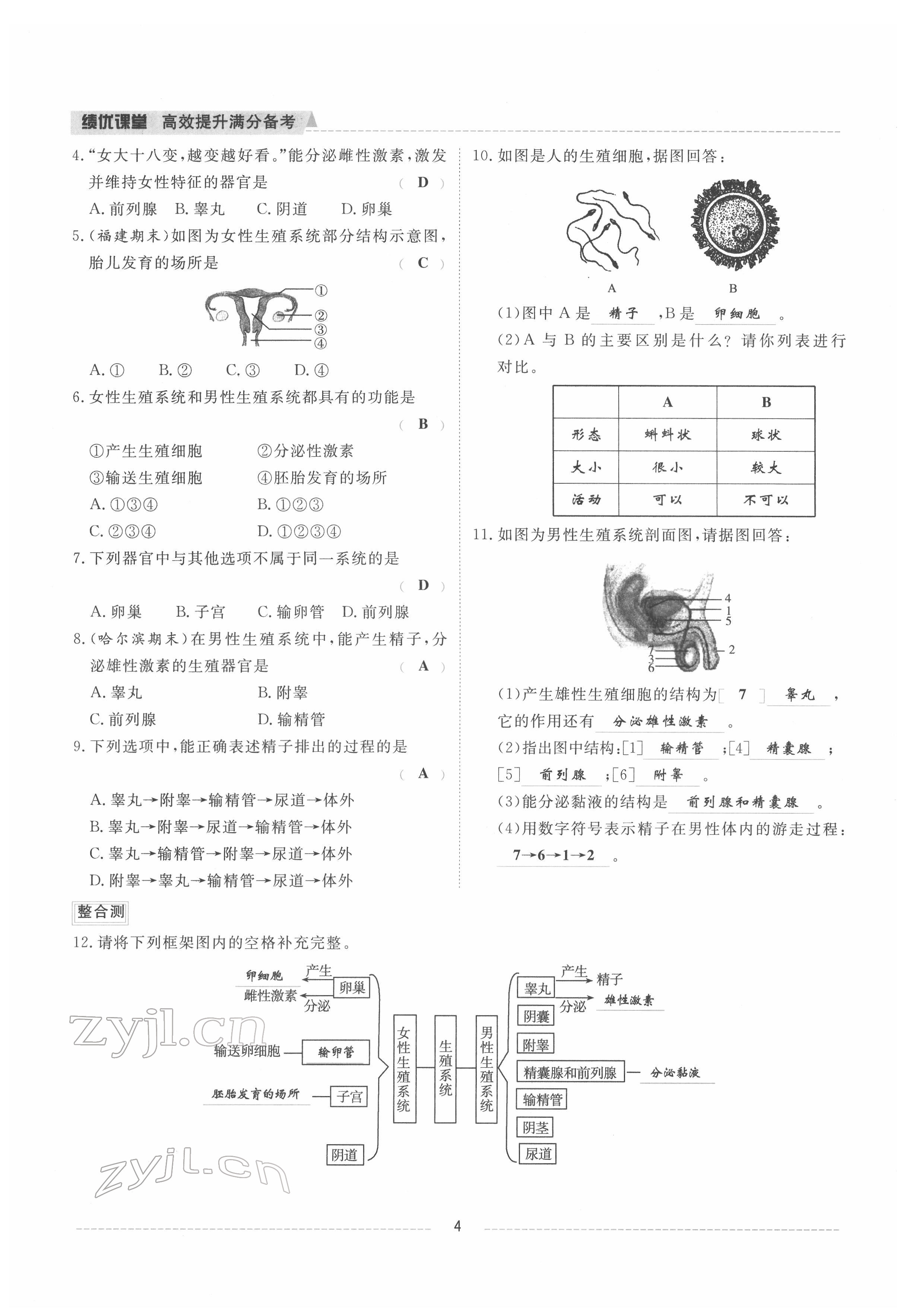 2022年绩优课堂高效提升满分备考七年级生物下册人教版 参考答案第4页