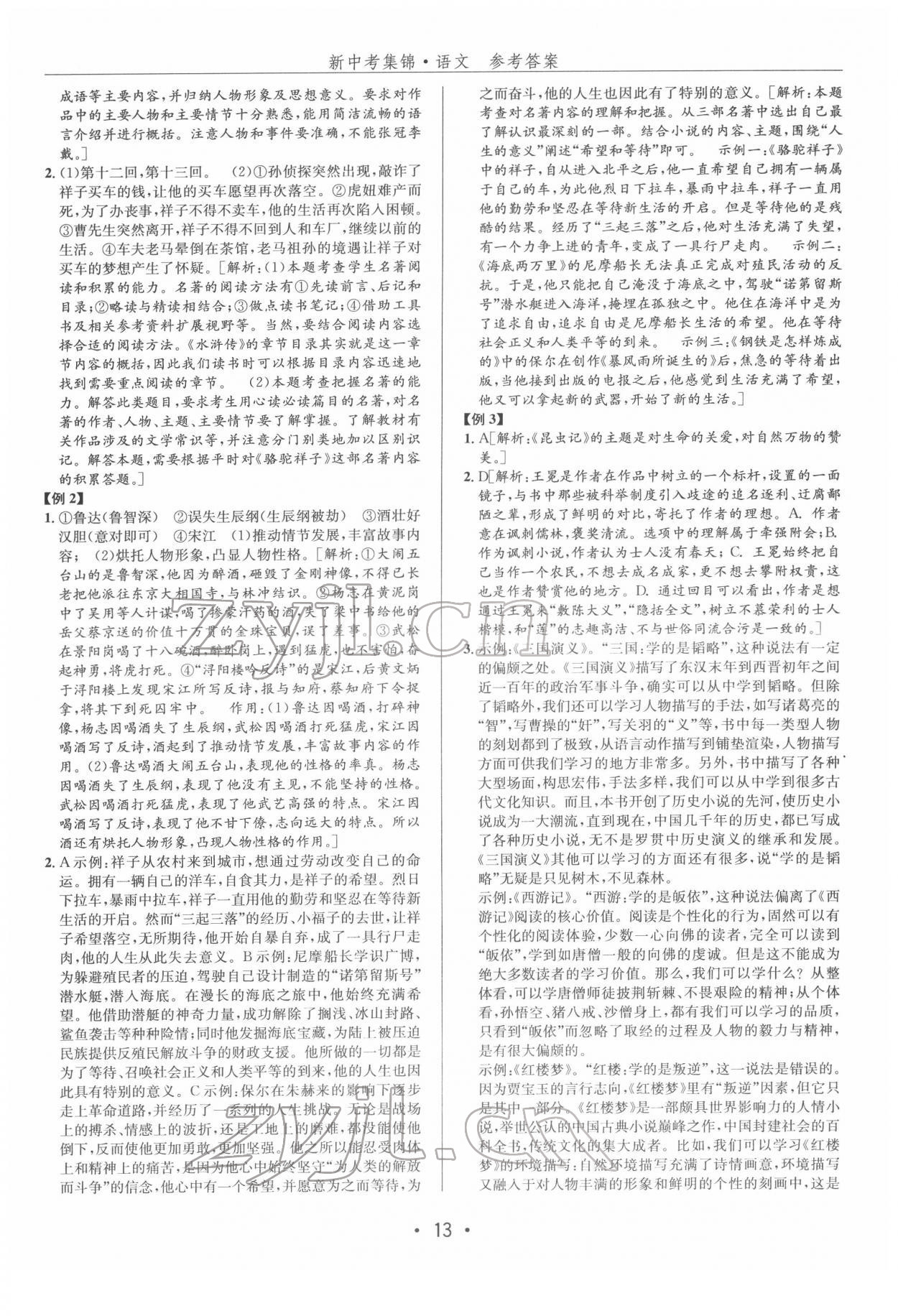 2022年新中考集锦全程复习训练语文 第13页