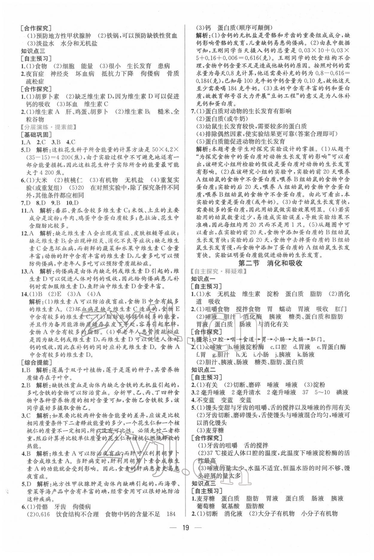 2022年同步导学案课时练七年级生物下册人教版 第3页