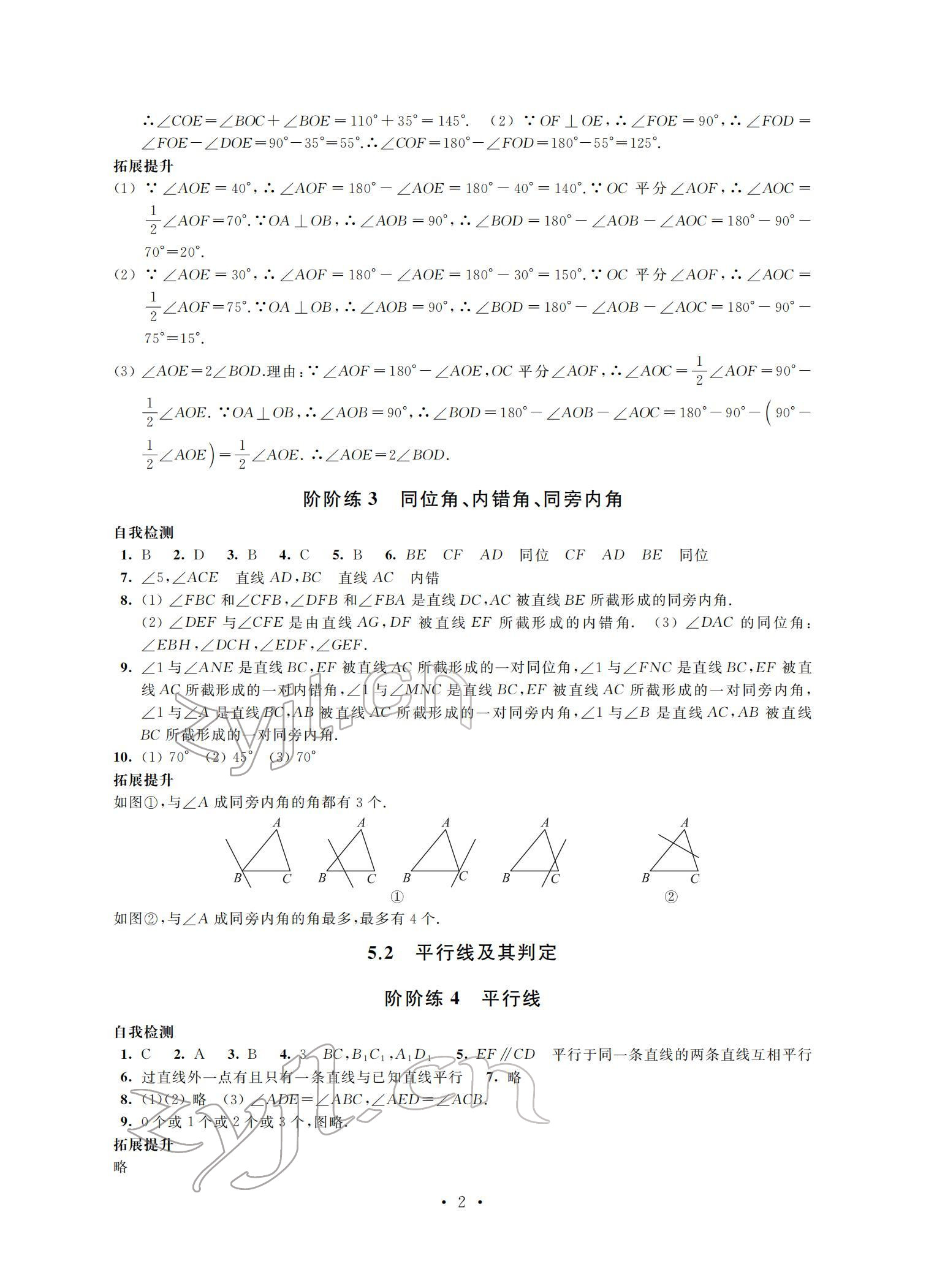 2022年自我提升與評價七年級數(shù)學(xué)下冊 參考答案第2頁