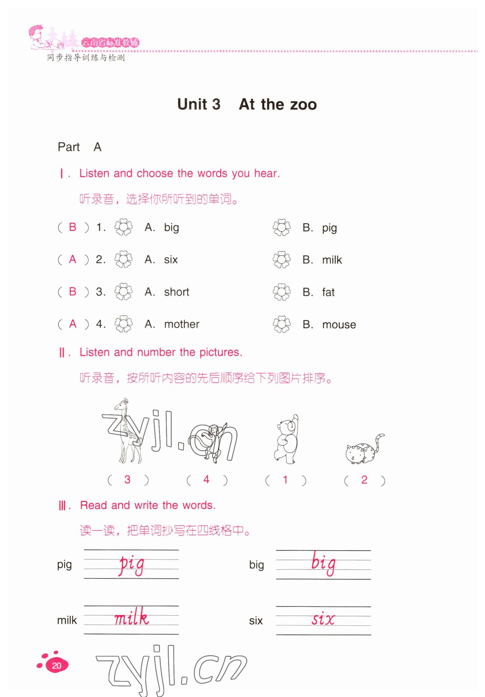2022年云南省标准教辅同步指导训练与检测三年级英语下册人教版 参考答案第19页