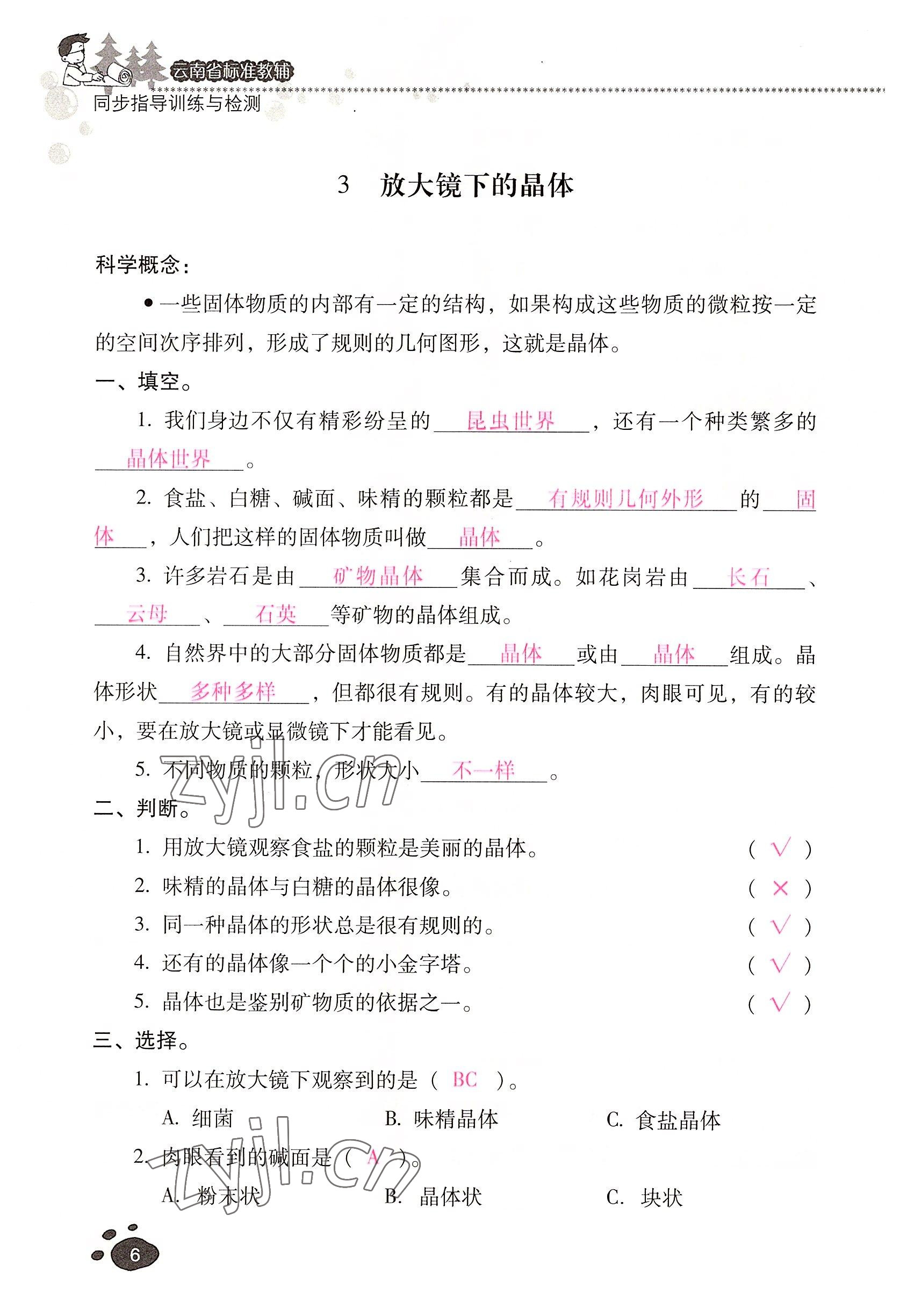 2022年云南省标准教辅同步指导训练与检测六年级科学下册教科版 参考答案第5页